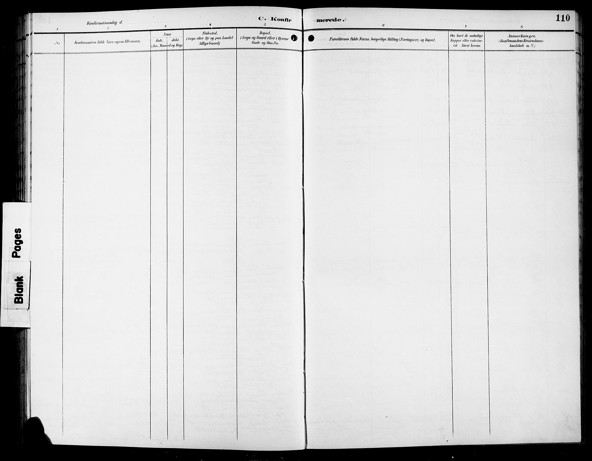 Sør-Aurdal prestekontor, SAH/PREST-128/H/Ha/Hab/L0009: Parish register (copy) no. 9, 1894-1924, p. 110