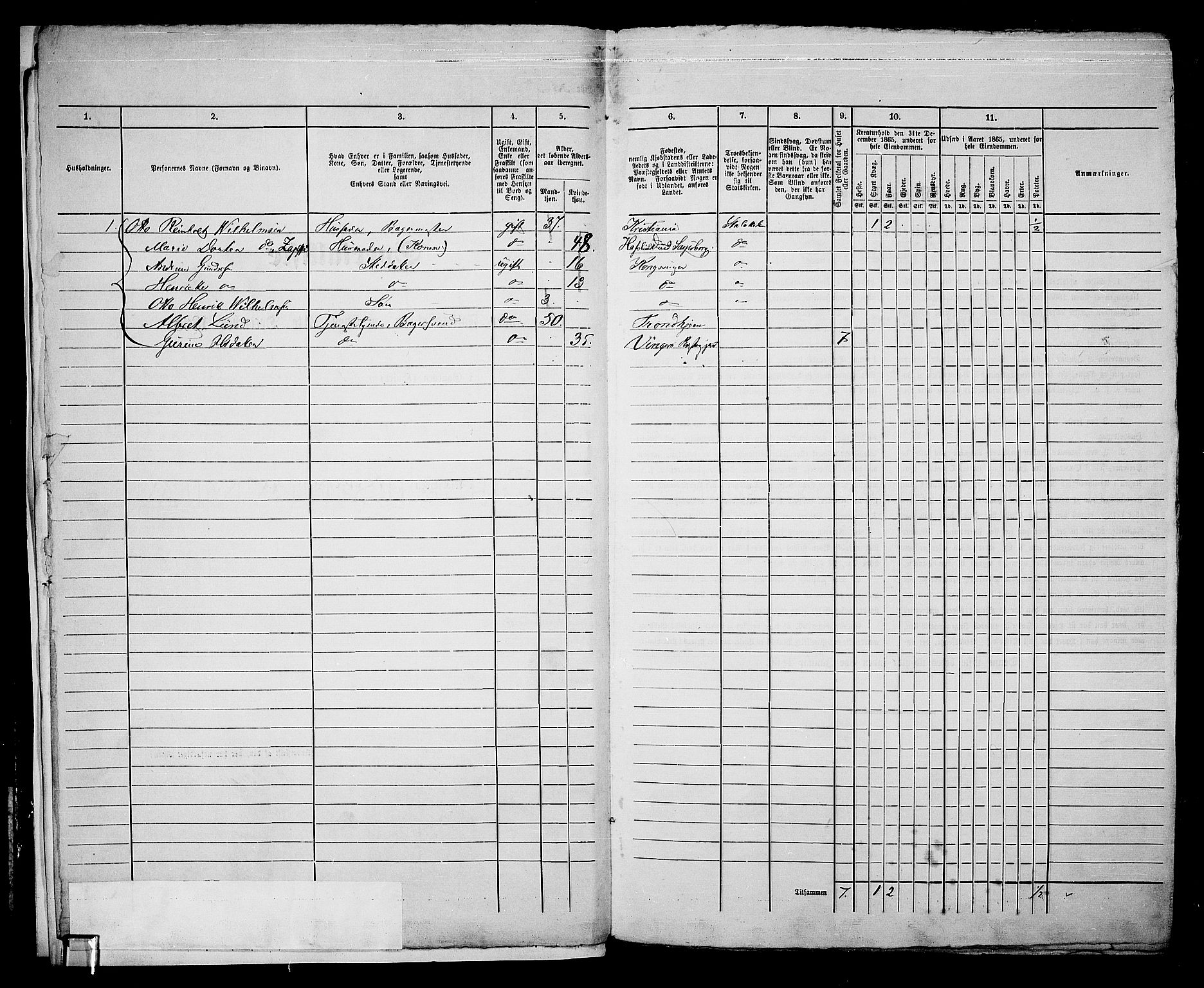 RA, 1865 census for Vinger/Kongsvinger, 1865, p. 8