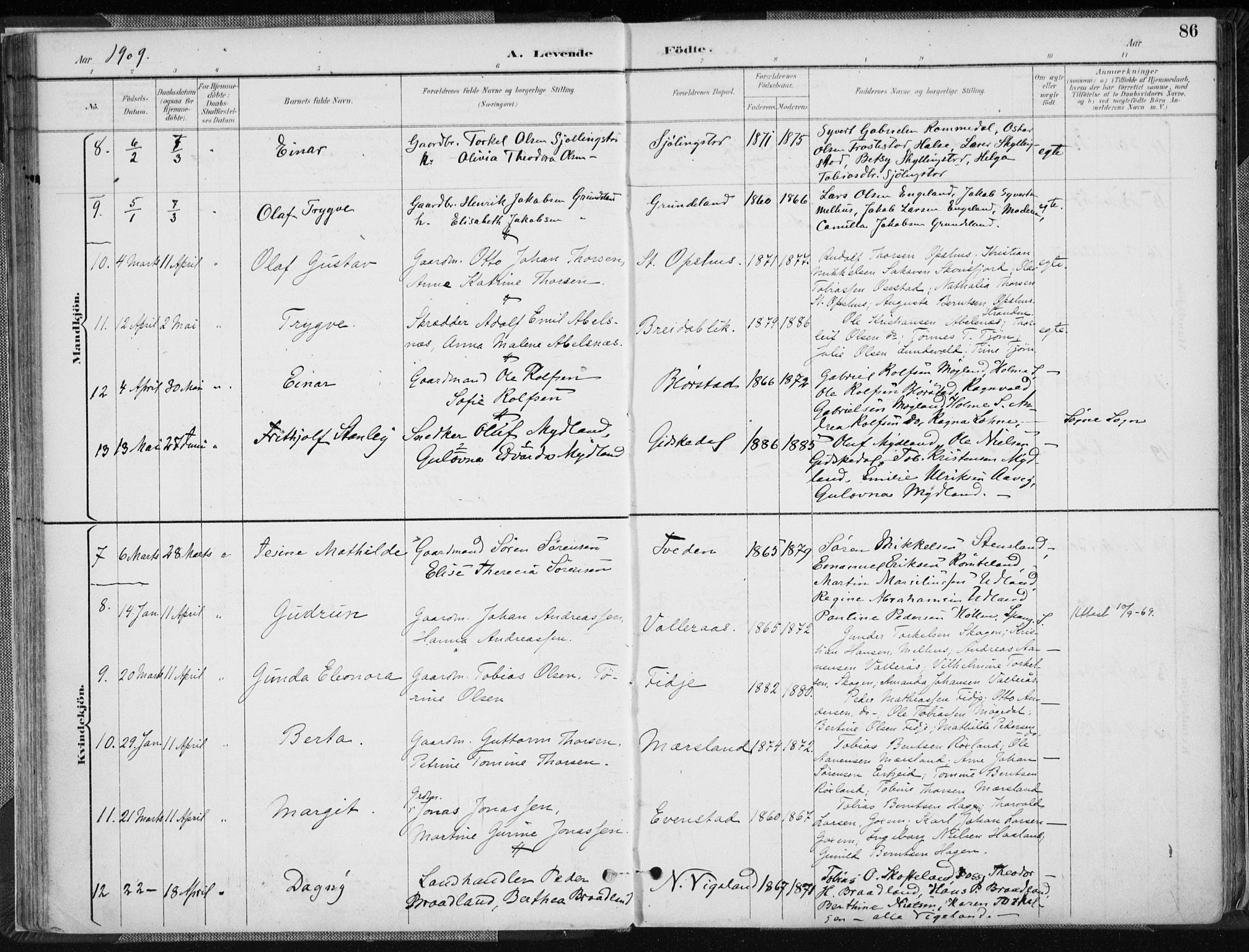 Sør-Audnedal sokneprestkontor, AV/SAK-1111-0039/F/Fa/Fab/L0010: Parish register (official) no. A 10, 1892-1913, p. 86