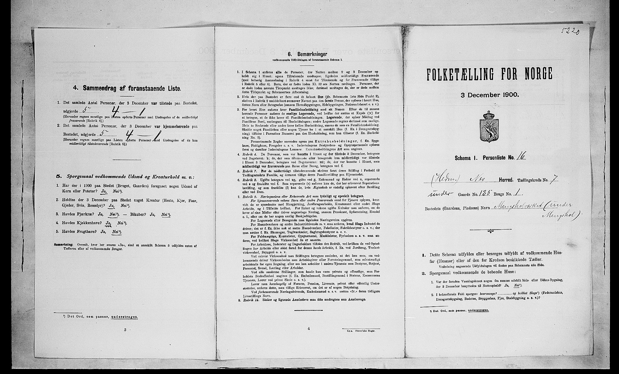 SAH, 1900 census for Nes, 1900, p. 1046