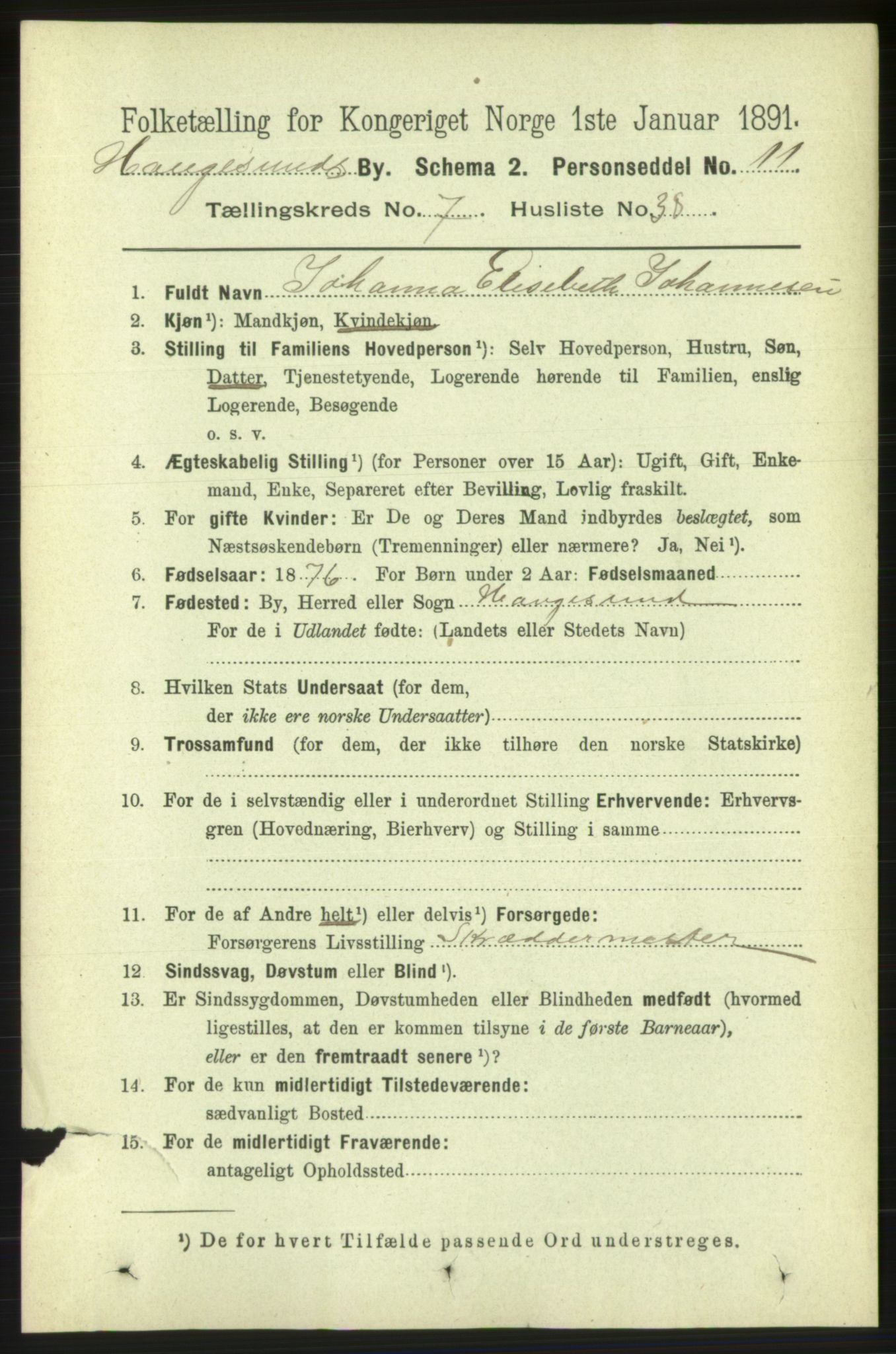 RA, 1891 census for 1106 Haugesund, 1891, p. 3520