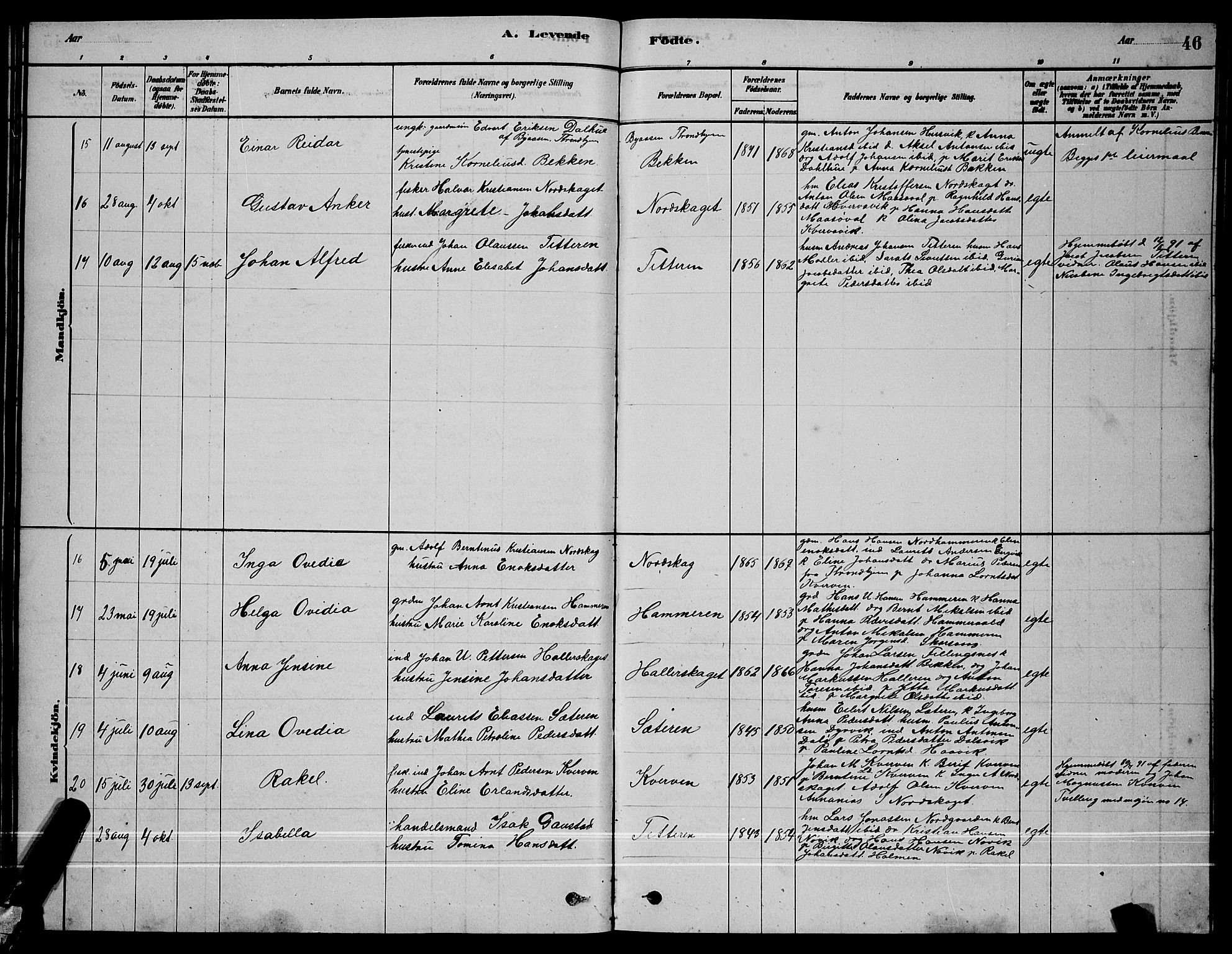 Ministerialprotokoller, klokkerbøker og fødselsregistre - Sør-Trøndelag, AV/SAT-A-1456/641/L0597: Parish register (copy) no. 641C01, 1878-1893, p. 46