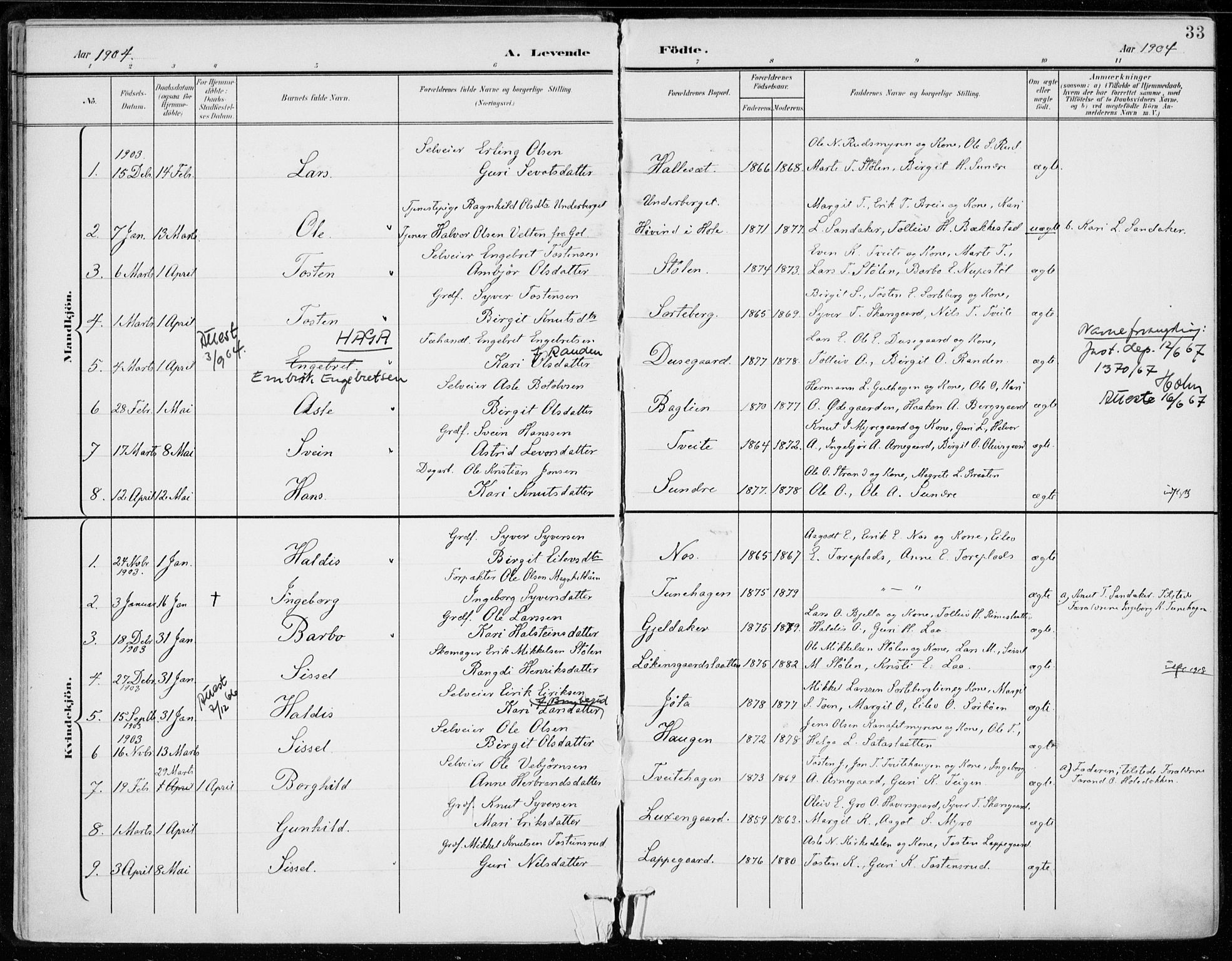 Ål kirkebøker, AV/SAKO-A-249/F/Fa/L0009: Parish register (official) no. I 9, 1897-1915, p. 33