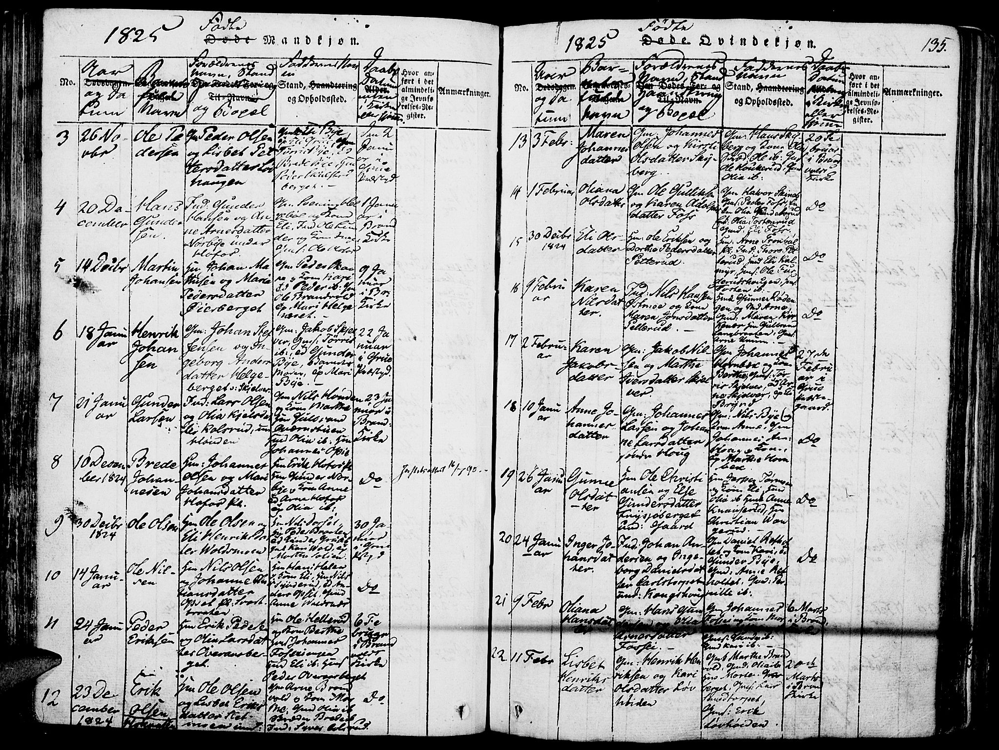 Grue prestekontor, AV/SAH-PREST-036/H/Ha/Haa/L0006: Parish register (official) no. 6, 1814-1830, p. 135