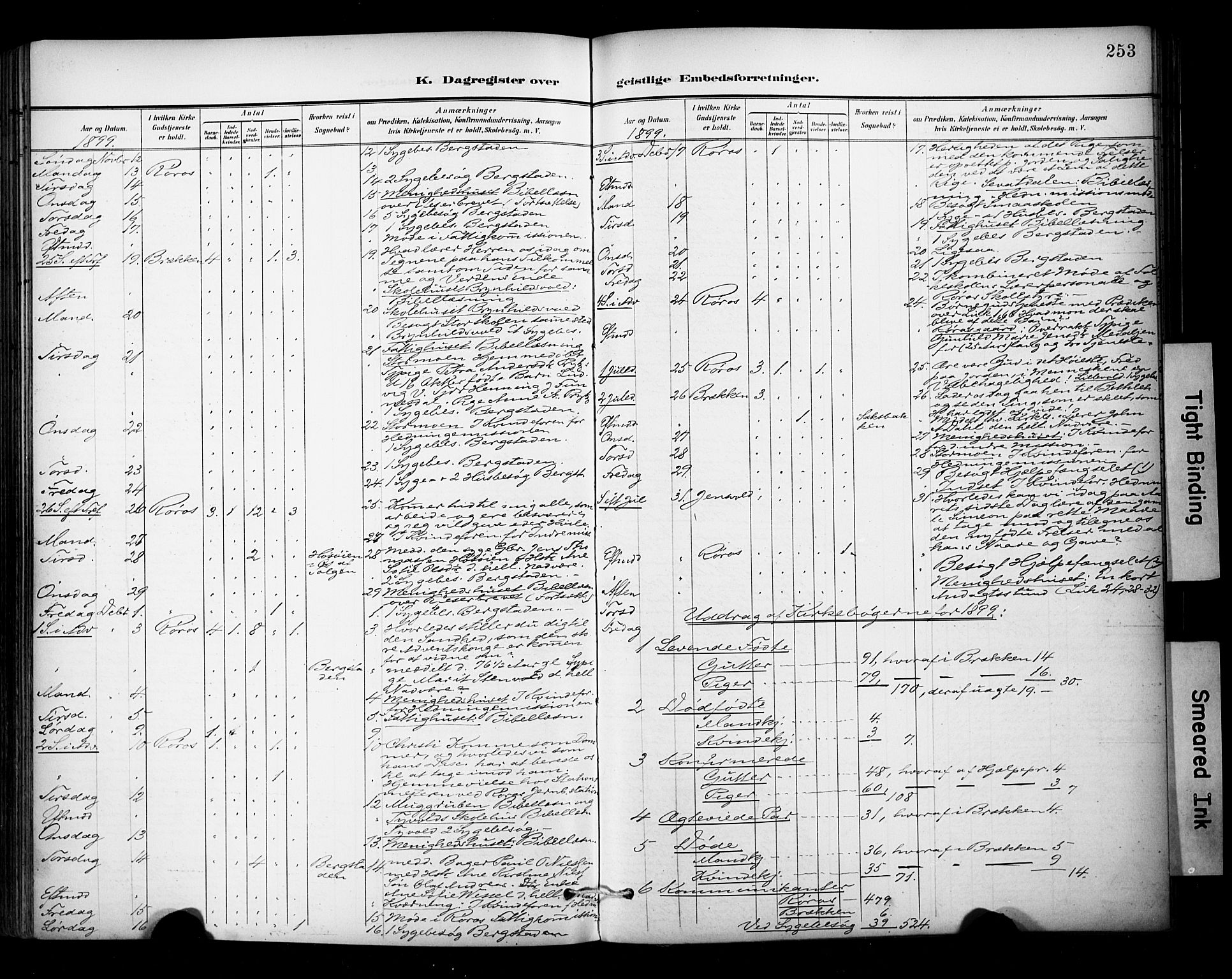Ministerialprotokoller, klokkerbøker og fødselsregistre - Sør-Trøndelag, SAT/A-1456/681/L0936: Parish register (official) no. 681A14, 1899-1908, p. 253