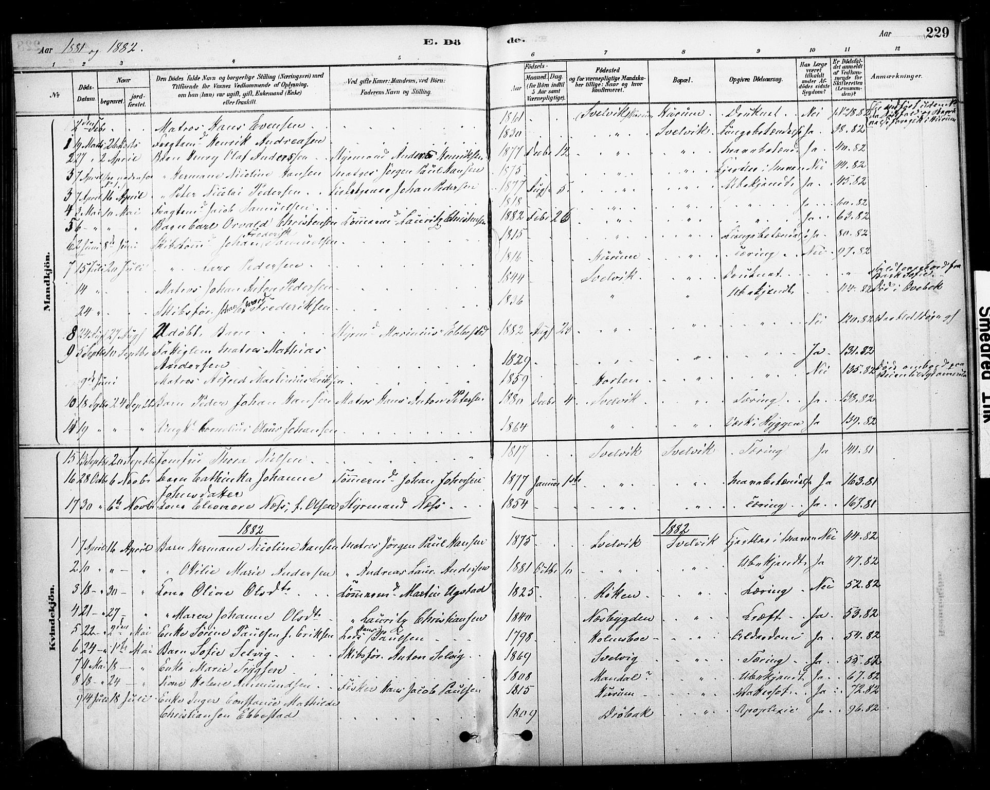 Strømm kirkebøker, SAKO/A-322/F/Fb/L0001: Parish register (official) no. II 1, 1878-1899, p. 229