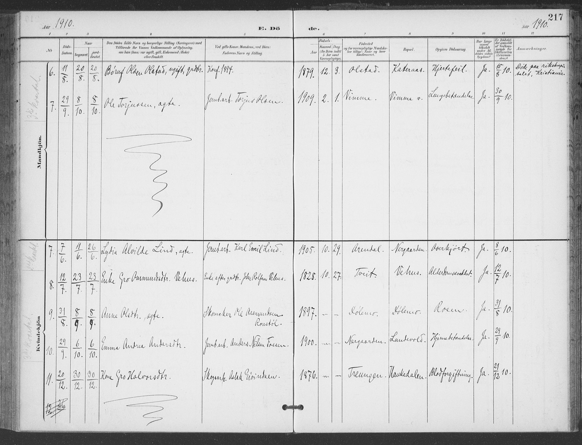 Åmli sokneprestkontor, AV/SAK-1111-0050/F/Fa/Fac/L0012: Parish register (official) no. A 12, 1900-1914, p. 217