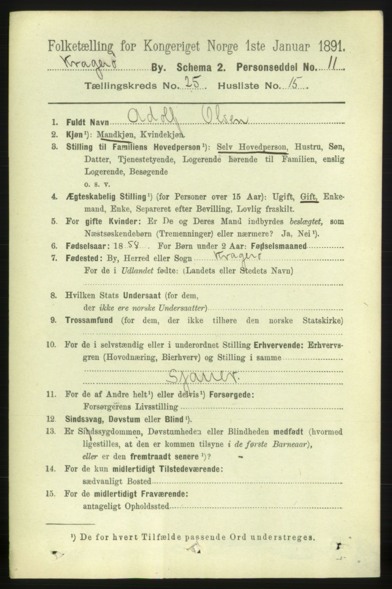 RA, 1891 census for 0801 Kragerø, 1891, p. 5213