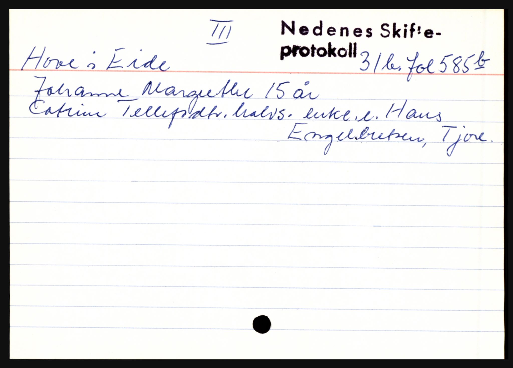 Nedenes sorenskriveri før 1824, AV/SAK-1221-0007/H, p. 13189