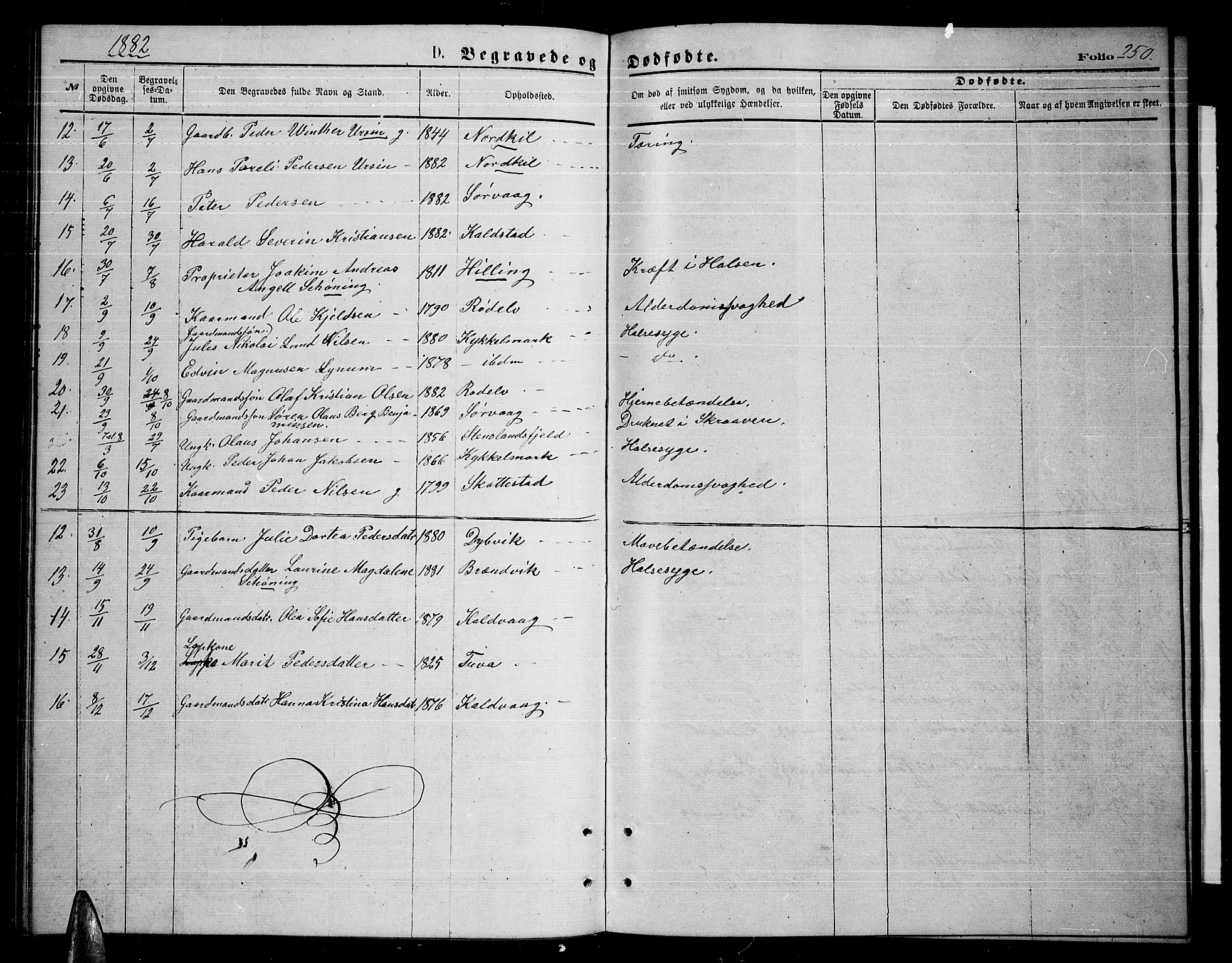 Ministerialprotokoller, klokkerbøker og fødselsregistre - Nordland, AV/SAT-A-1459/859/L0858: Parish register (copy) no. 859C04, 1873-1886, p. 250