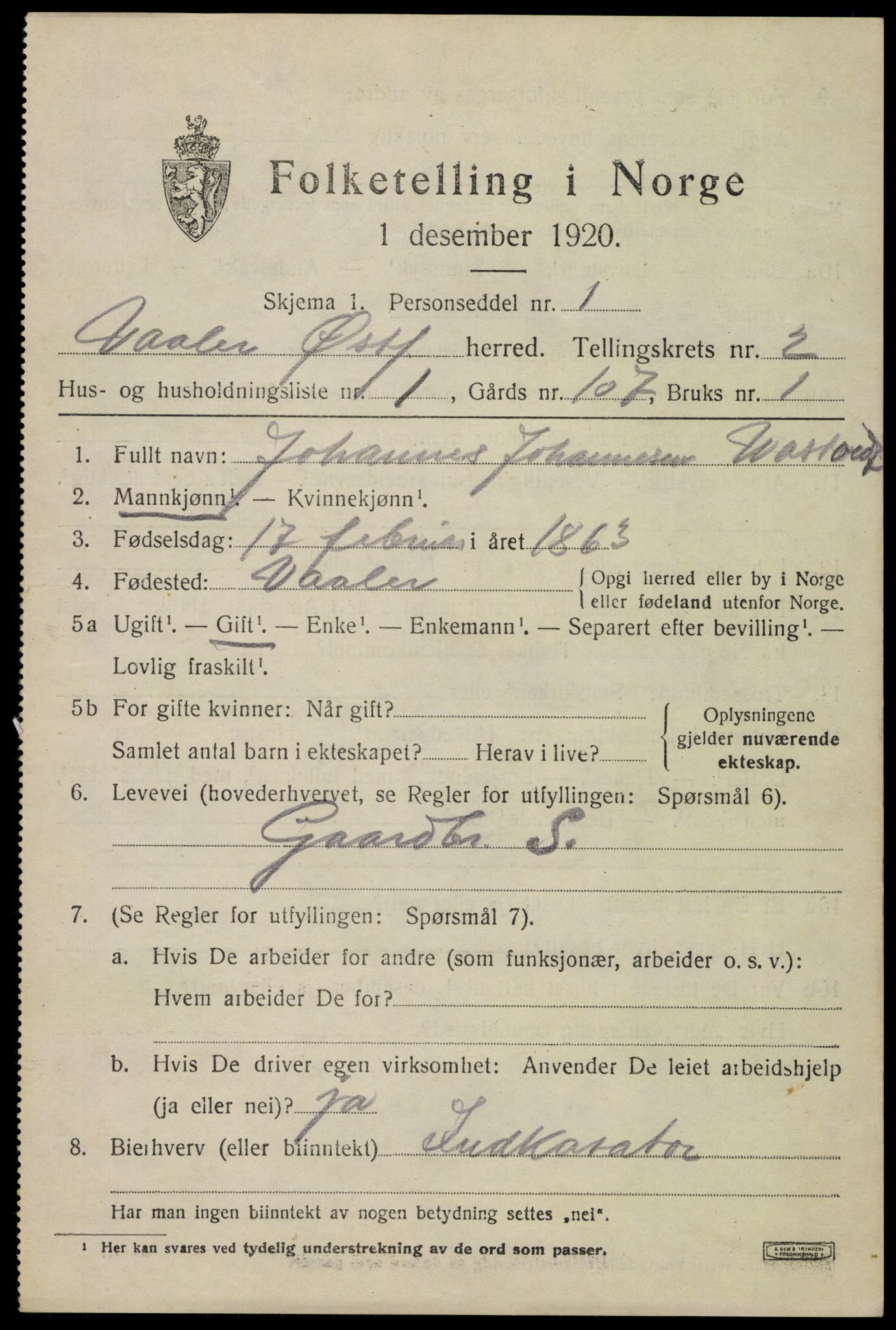 SAO, 1920 census for Våler, 1920, p. 1382