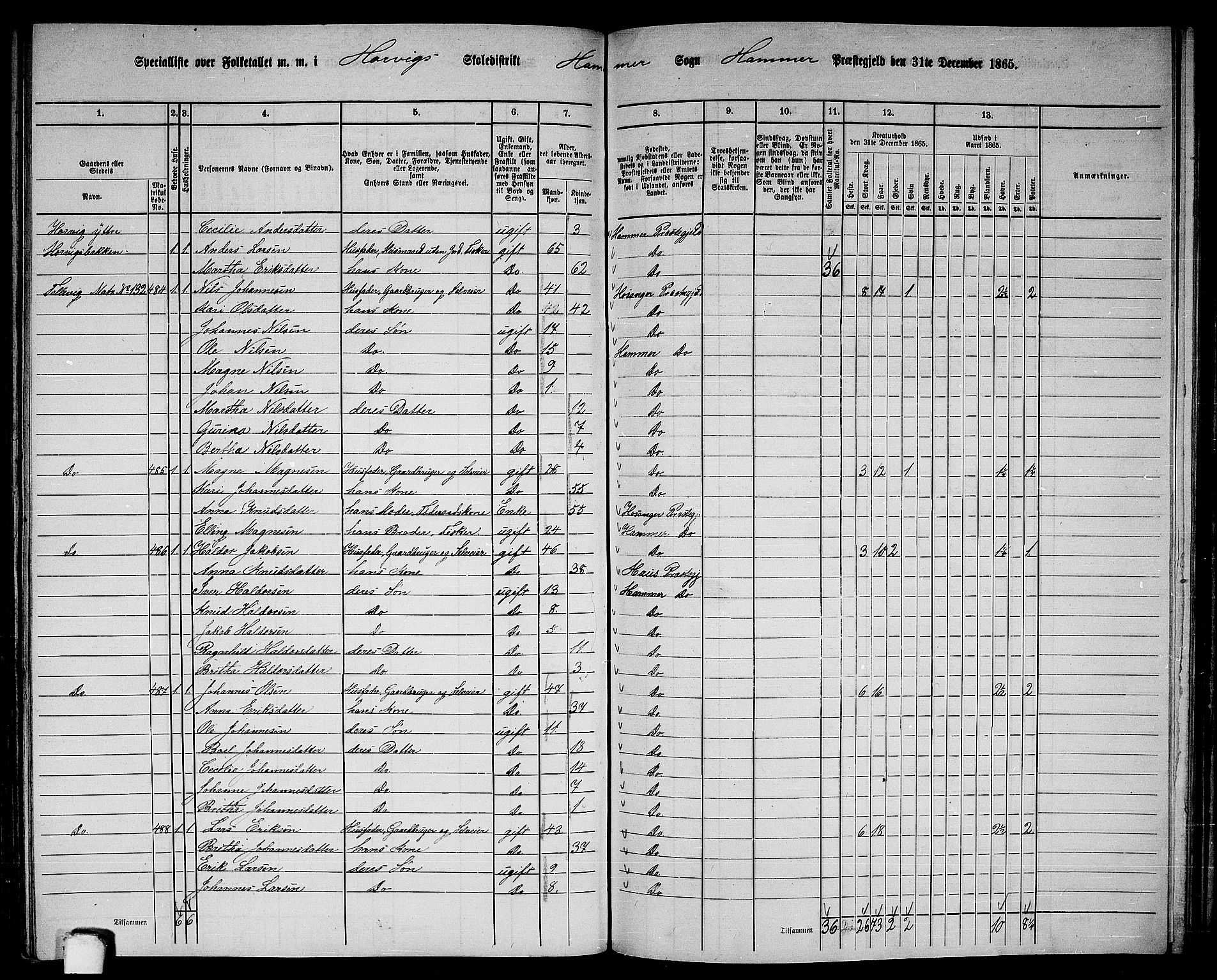 RA, 1865 census for Hamre, 1865, p. 171