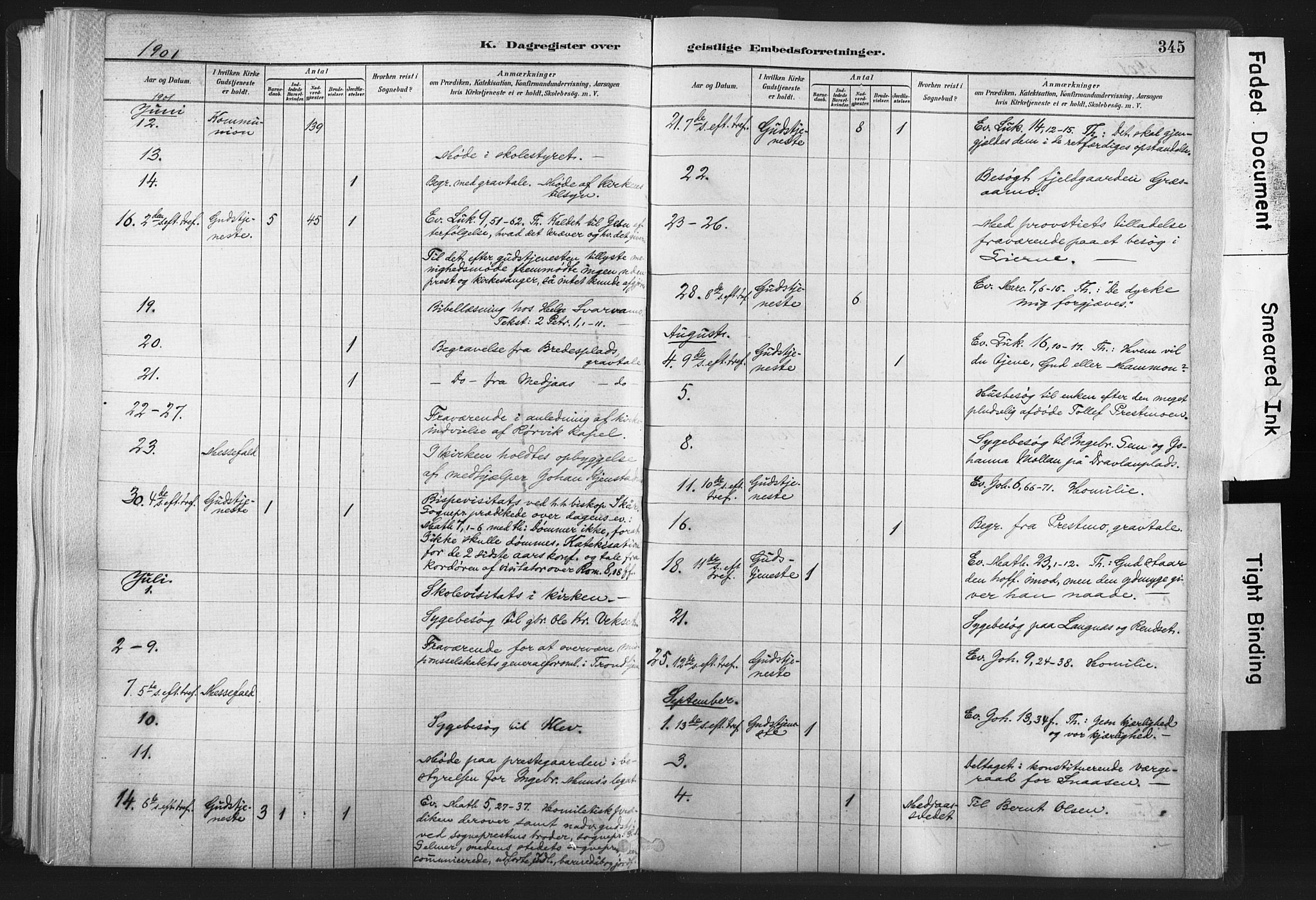 Ministerialprotokoller, klokkerbøker og fødselsregistre - Nord-Trøndelag, SAT/A-1458/749/L0474: Parish register (official) no. 749A08, 1887-1903, p. 345