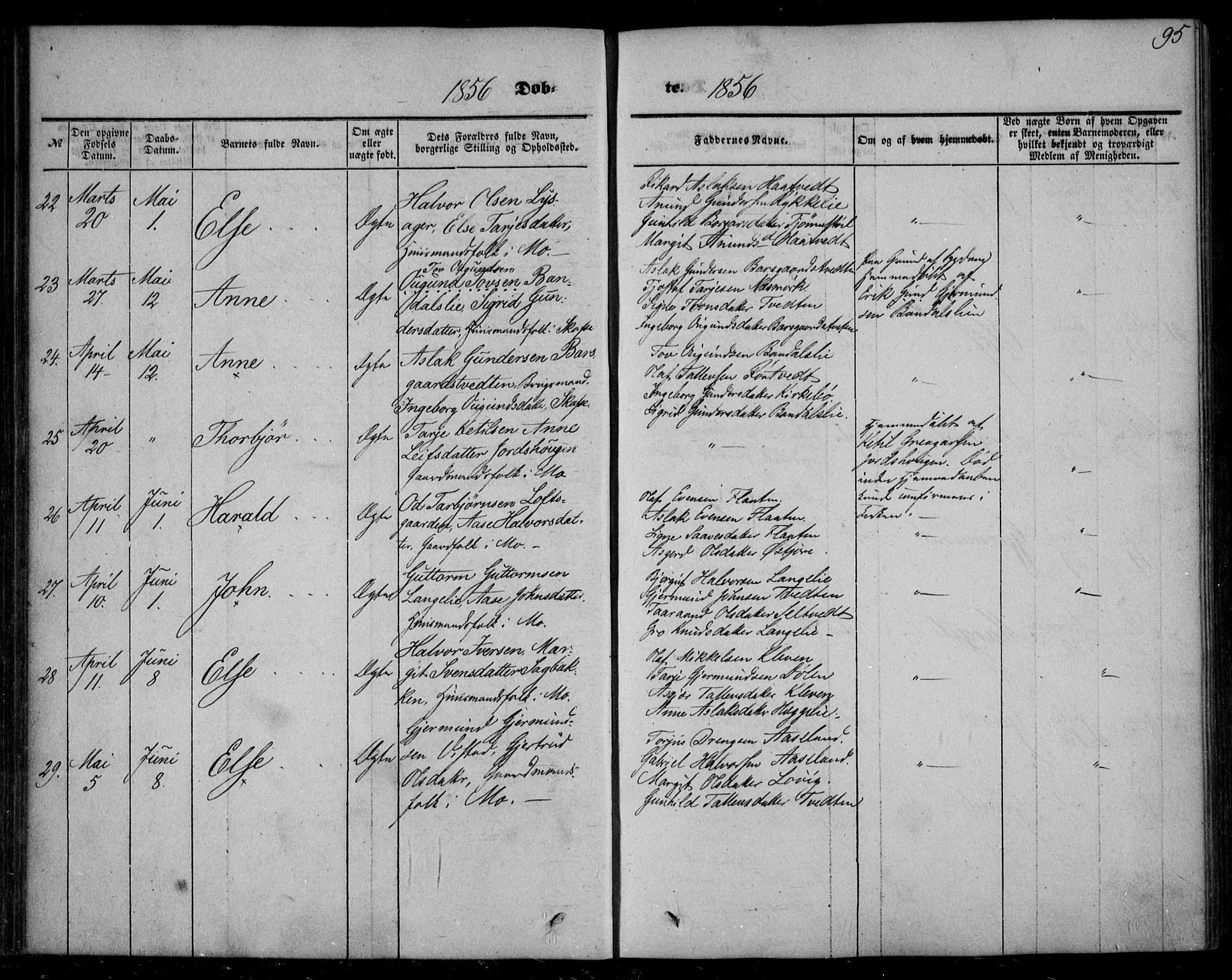 Mo kirkebøker, AV/SAKO-A-286/F/Fa/L0005: Parish register (official) no. I 5, 1844-1864, p. 95