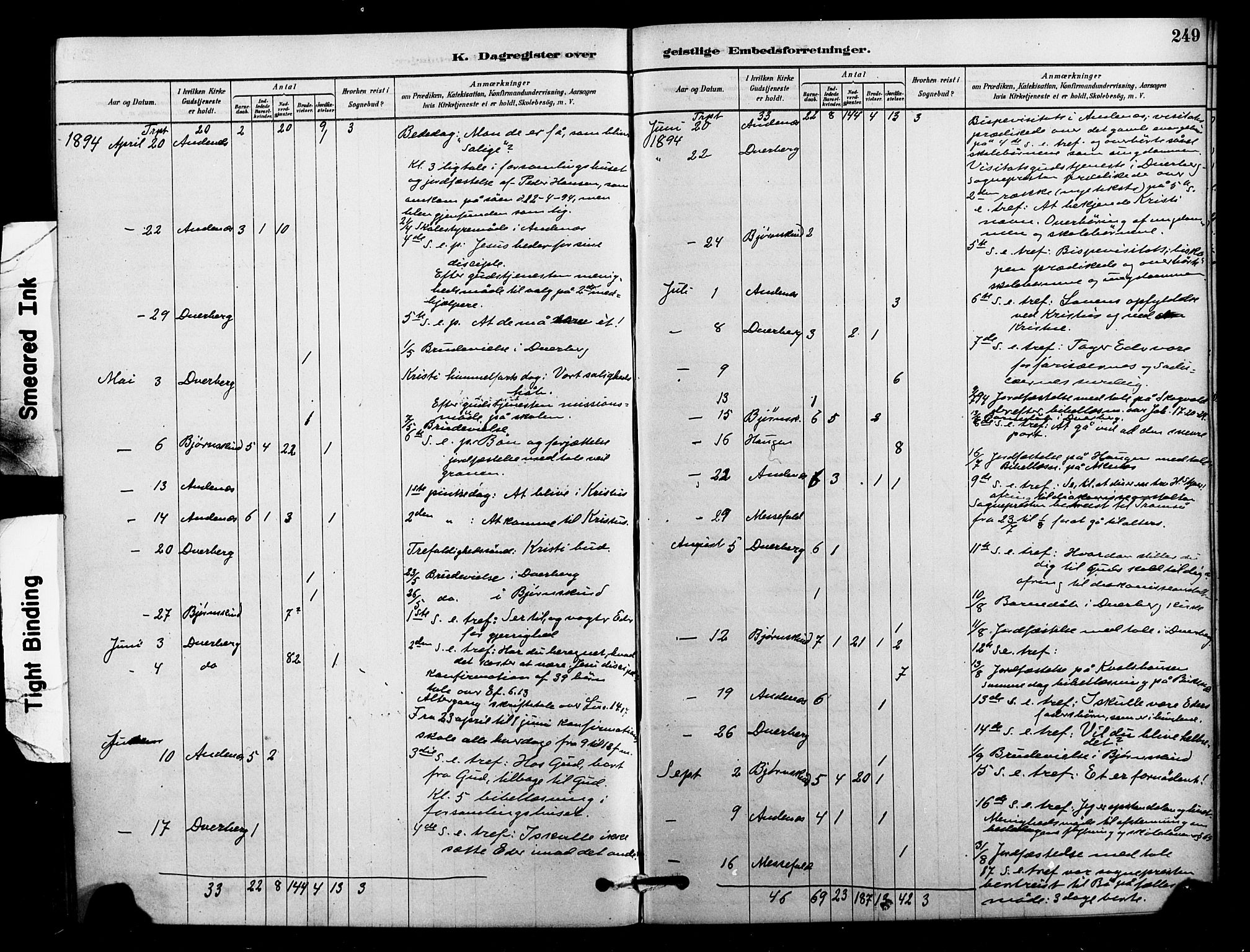 Ministerialprotokoller, klokkerbøker og fødselsregistre - Nordland, AV/SAT-A-1459/897/L1399: Parish register (official) no. 897C06, 1881-1896, p. 249