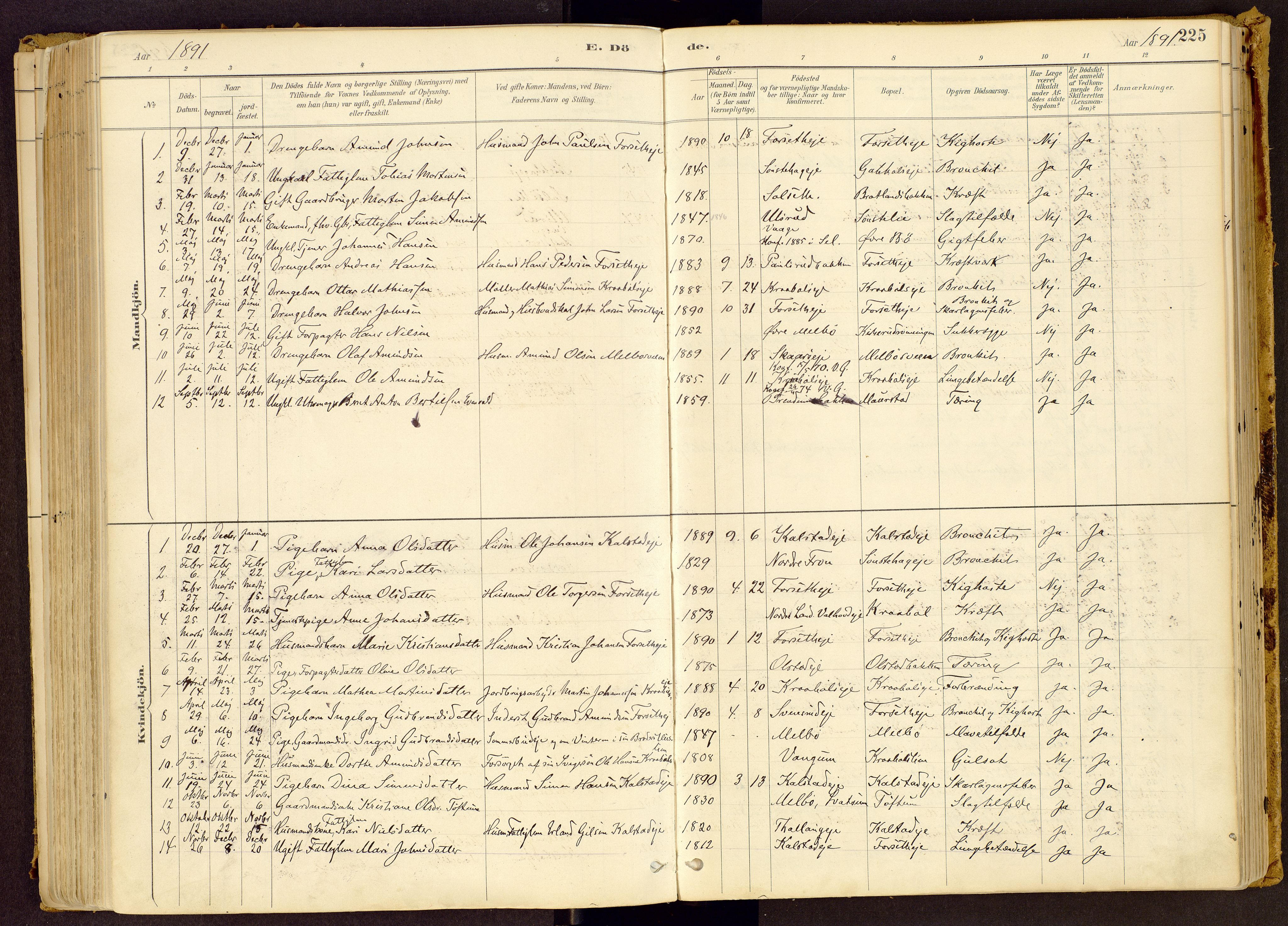 Vestre Gausdal prestekontor, SAH/PREST-094/H/Ha/Haa/L0001: Parish register (official) no. 1, 1887-1914, p. 225