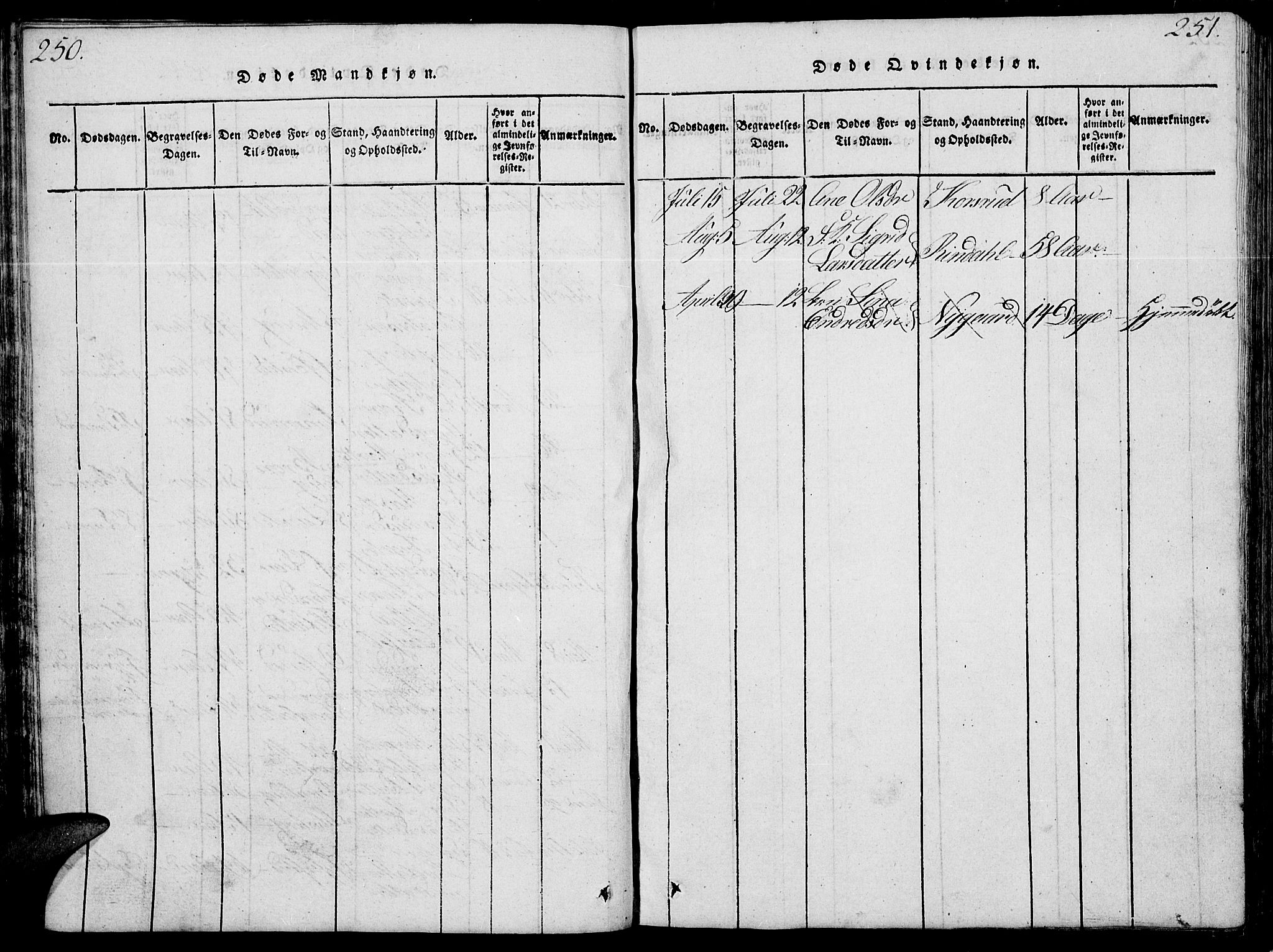 Fåberg prestekontor, SAH/PREST-086/H/Ha/Hab/L0004: Parish register (copy) no. 4, 1818-1837, p. 250-251