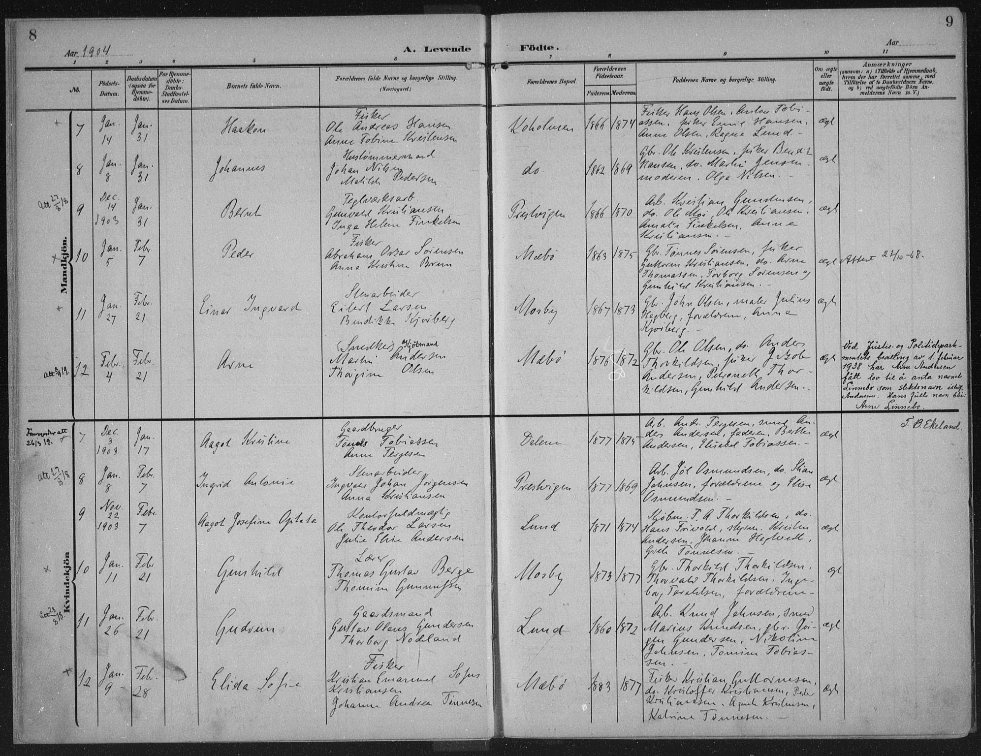 Oddernes sokneprestkontor, AV/SAK-1111-0033/F/Fa/Faa/L0011: Parish register (official) no. A 11, 1904-1911, p. 10-11