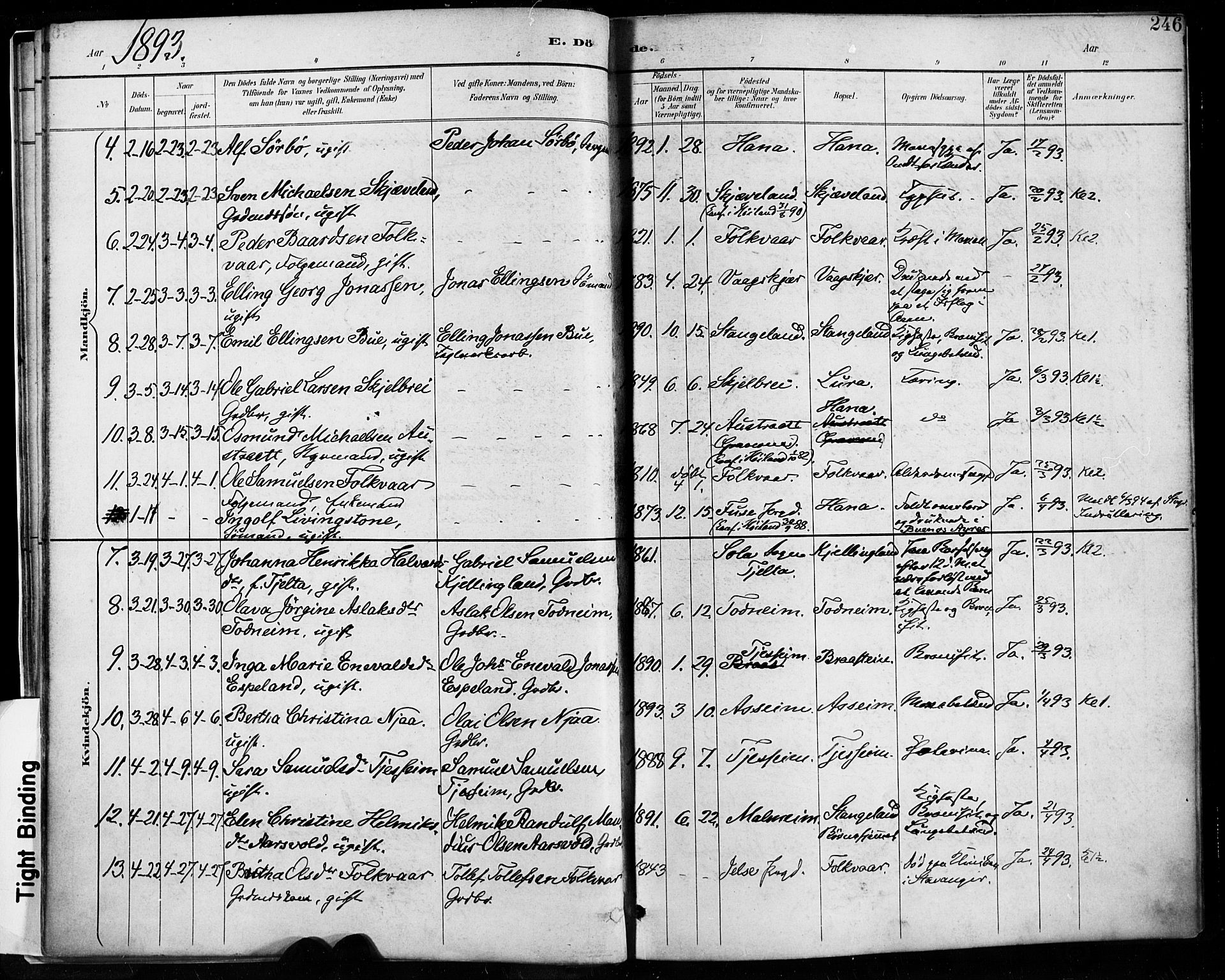 Høyland sokneprestkontor, SAST/A-101799/001/30BA/L0013: Parish register (official) no. A 13.2, 1889-1898, p. 246