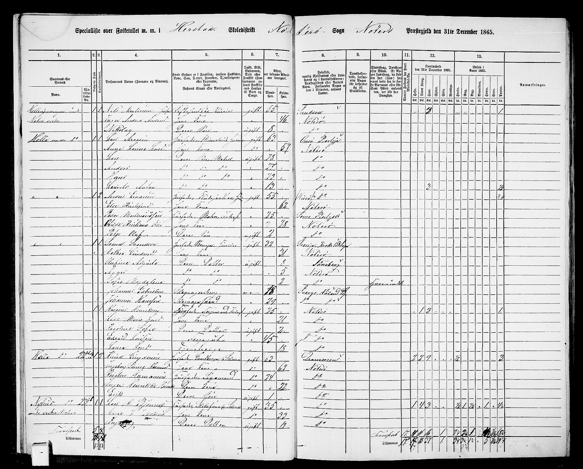 RA, 1865 census for Nøtterøy, 1865, p. 15