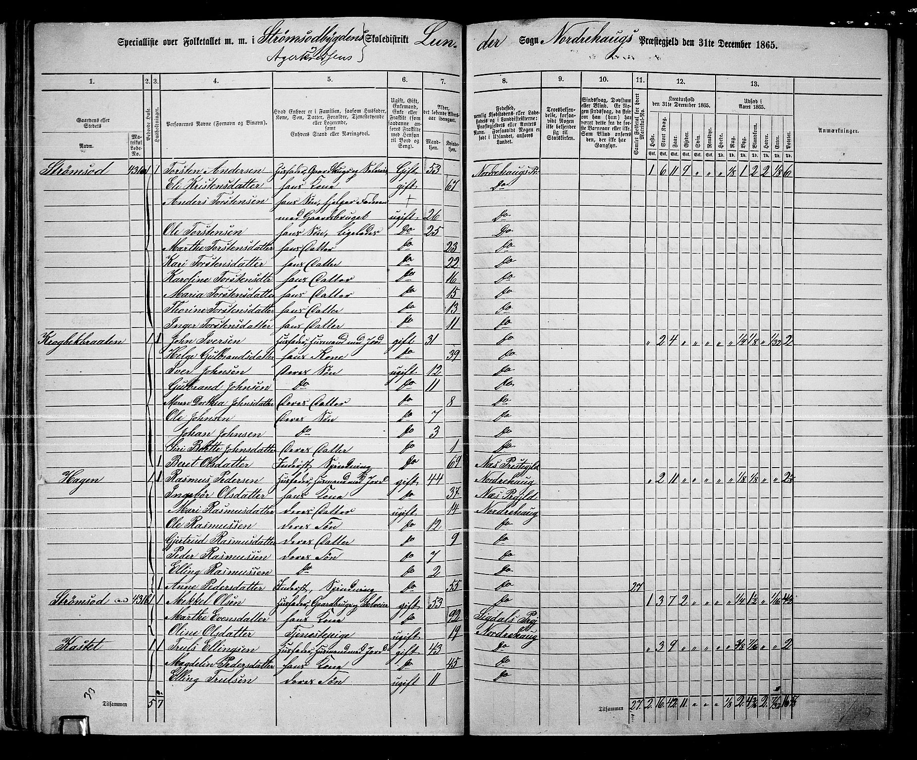 RA, 1865 census for Norderhov/Norderhov, Haug og Lunder, 1865, p. 50