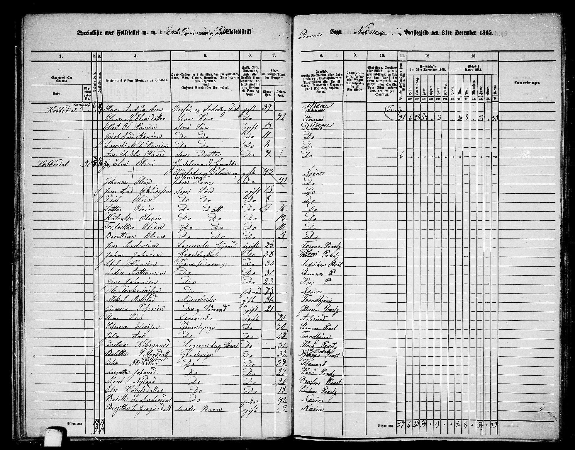 RA, 1865 census for Nesna, 1865, p. 41