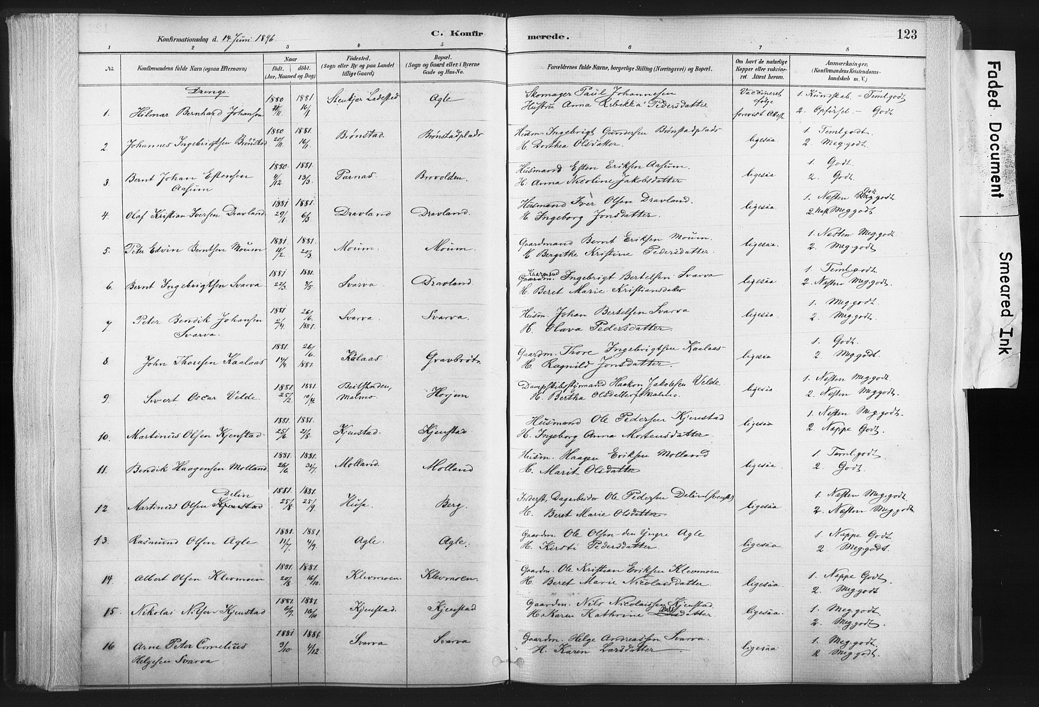 Ministerialprotokoller, klokkerbøker og fødselsregistre - Nord-Trøndelag, SAT/A-1458/749/L0474: Parish register (official) no. 749A08, 1887-1903, p. 123