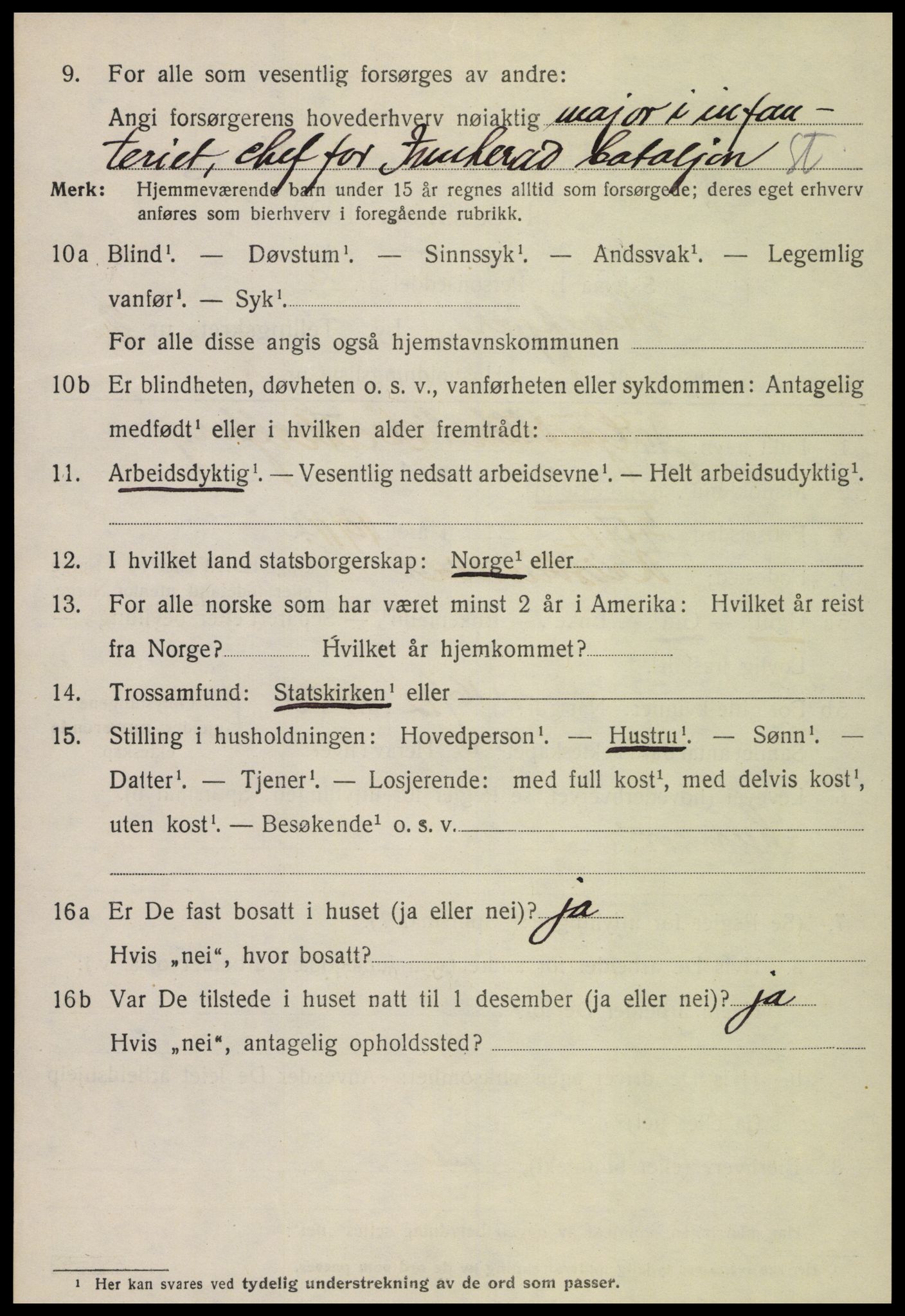 SAT, 1920 census for Steinkjer, 1920, p. 4213