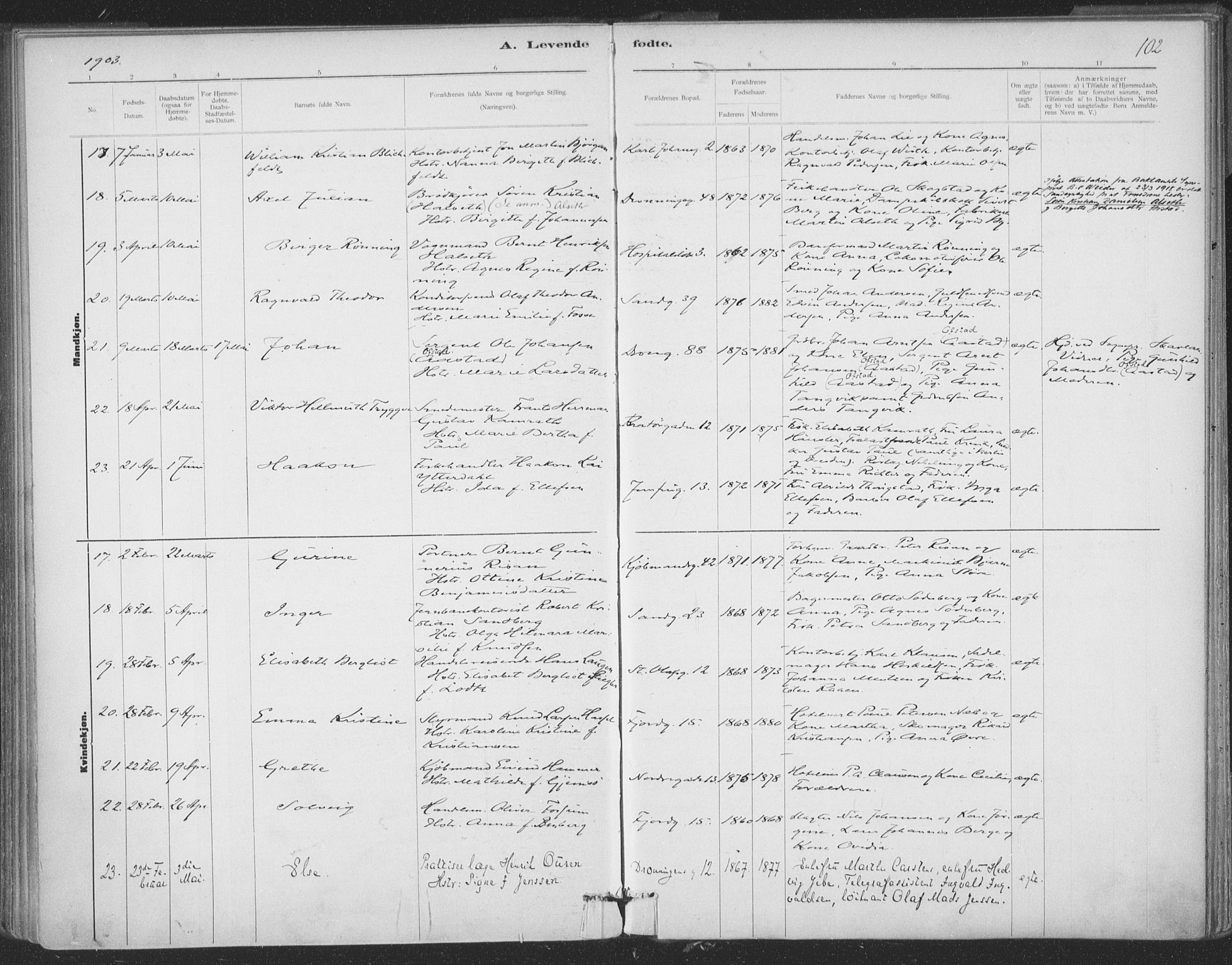 Ministerialprotokoller, klokkerbøker og fødselsregistre - Sør-Trøndelag, AV/SAT-A-1456/602/L0122: Parish register (official) no. 602A20, 1892-1908, p. 102