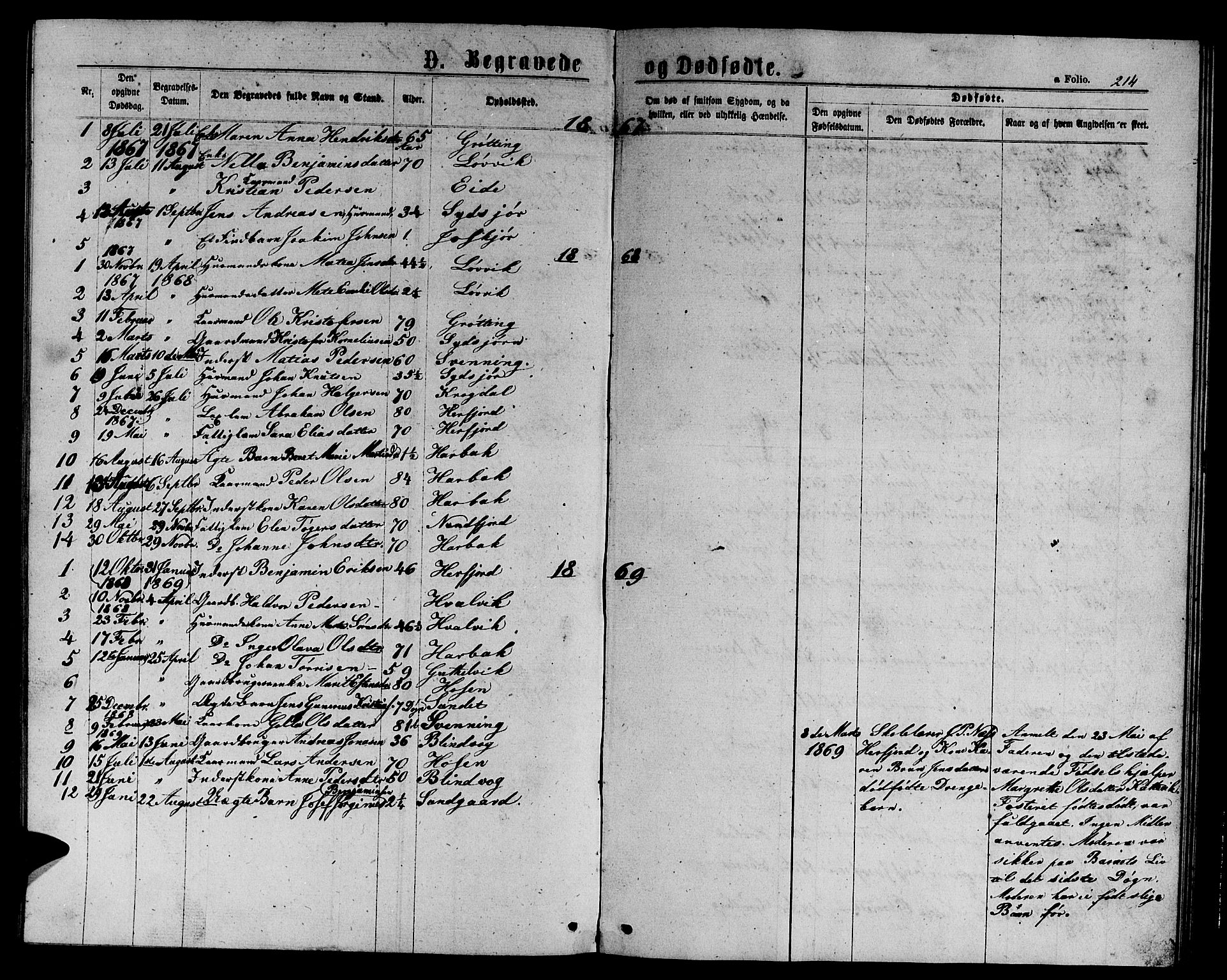 Ministerialprotokoller, klokkerbøker og fødselsregistre - Sør-Trøndelag, SAT/A-1456/656/L0695: Parish register (copy) no. 656C01, 1867-1889, p. 214