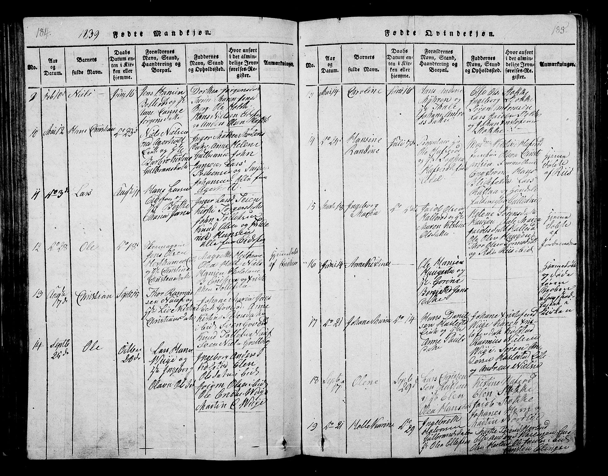 Hof kirkebøker, AV/SAKO-A-64/G/Ga/L0001: Parish register (copy) no. I 1, 1814-1844, p. 184-185