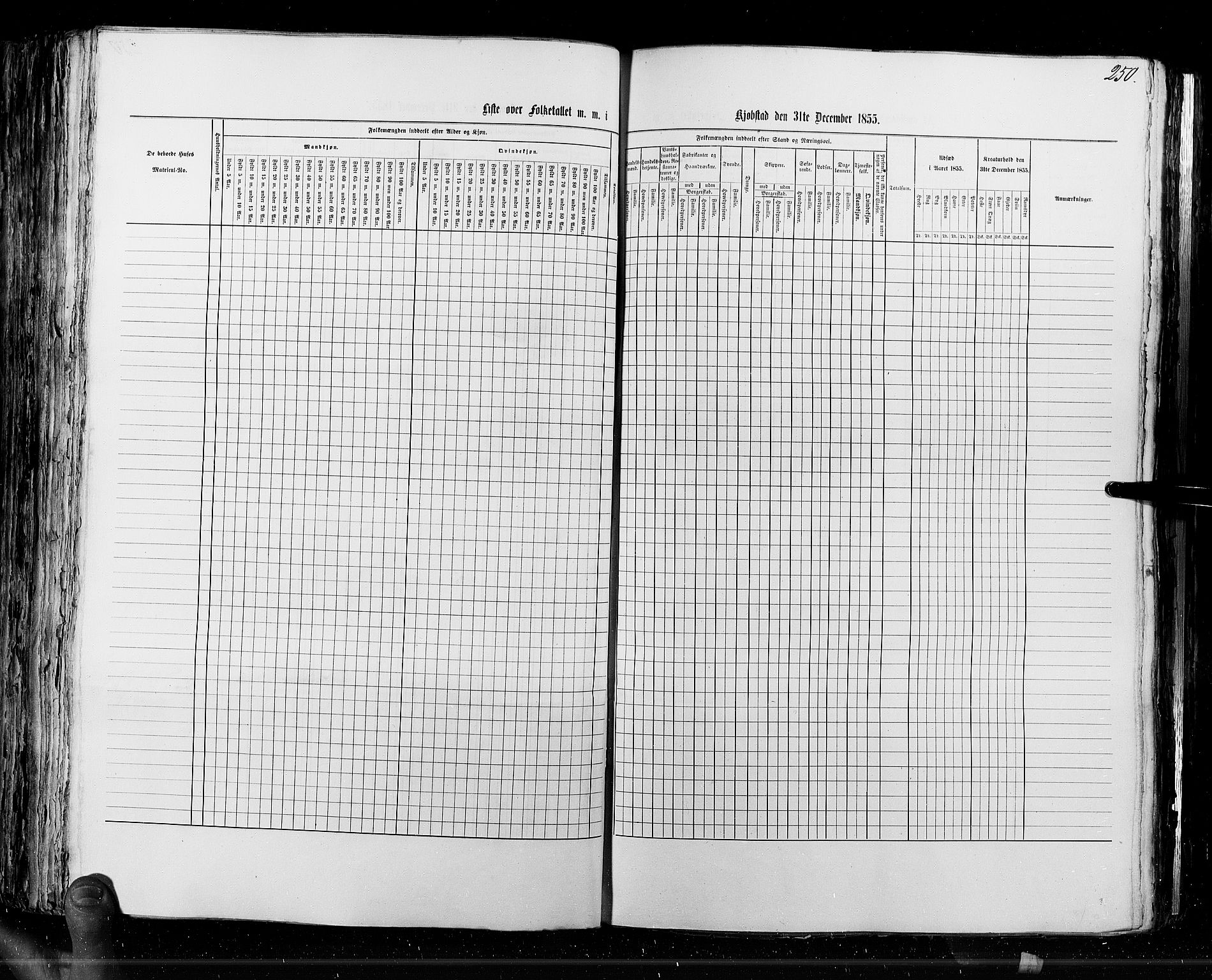 RA, Census 1855, vol. 7: Fredrikshald-Kragerø, 1855, p. 250