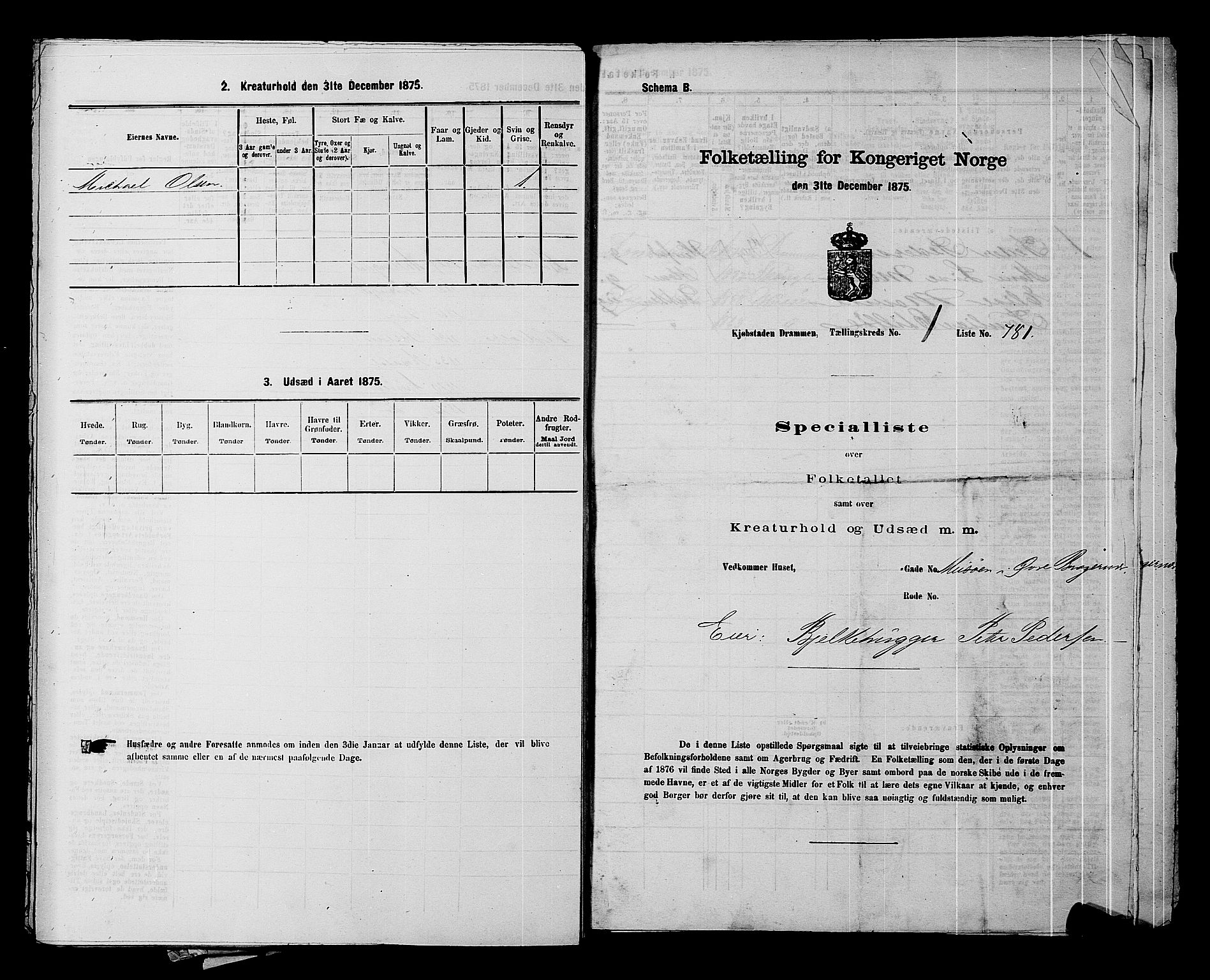 SAKO, 1875 census for 0602 Drammen, 1875, p. 166