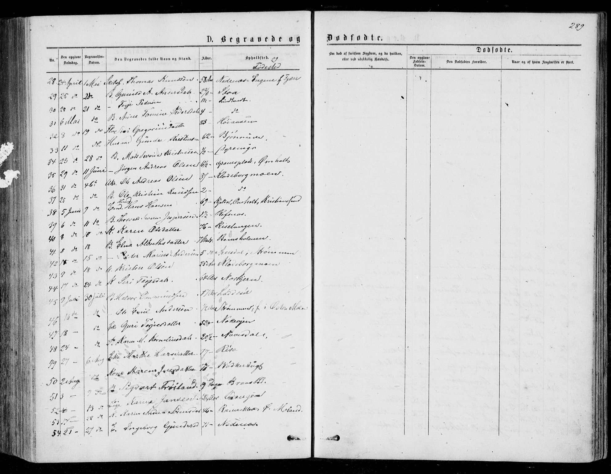 Øyestad sokneprestkontor, SAK/1111-0049/F/Fb/L0008: Parish register (copy) no. B 8, 1872-1886, p. 289