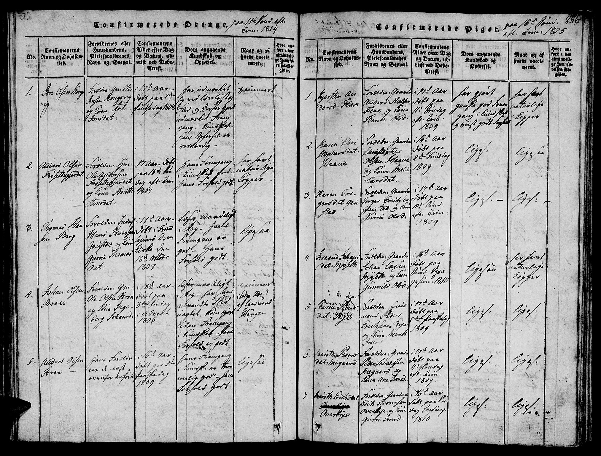 Ministerialprotokoller, klokkerbøker og fødselsregistre - Sør-Trøndelag, SAT/A-1456/612/L0372: Parish register (official) no. 612A06 /1, 1816-1828, p. 256