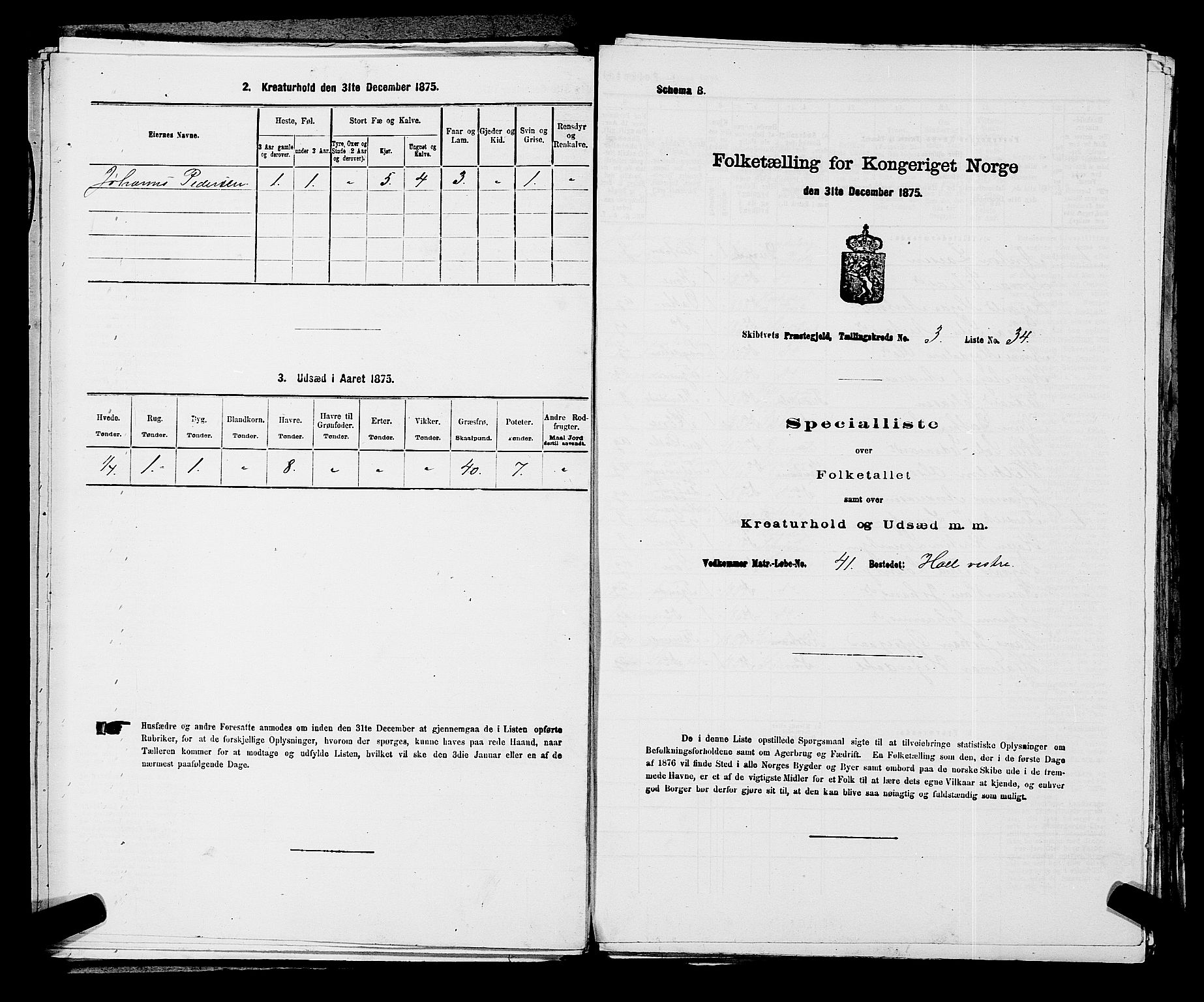 RA, 1875 census for 0127P Skiptvet, 1875, p. 500