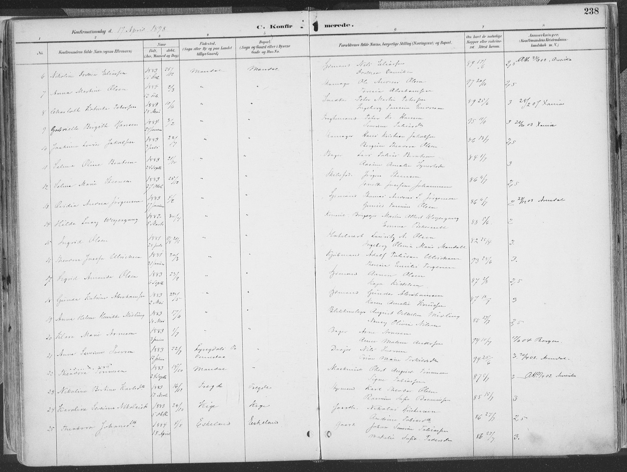 Mandal sokneprestkontor, SAK/1111-0030/F/Fa/Faa/L0018: Parish register (official) no. A 18, 1890-1905, p. 238