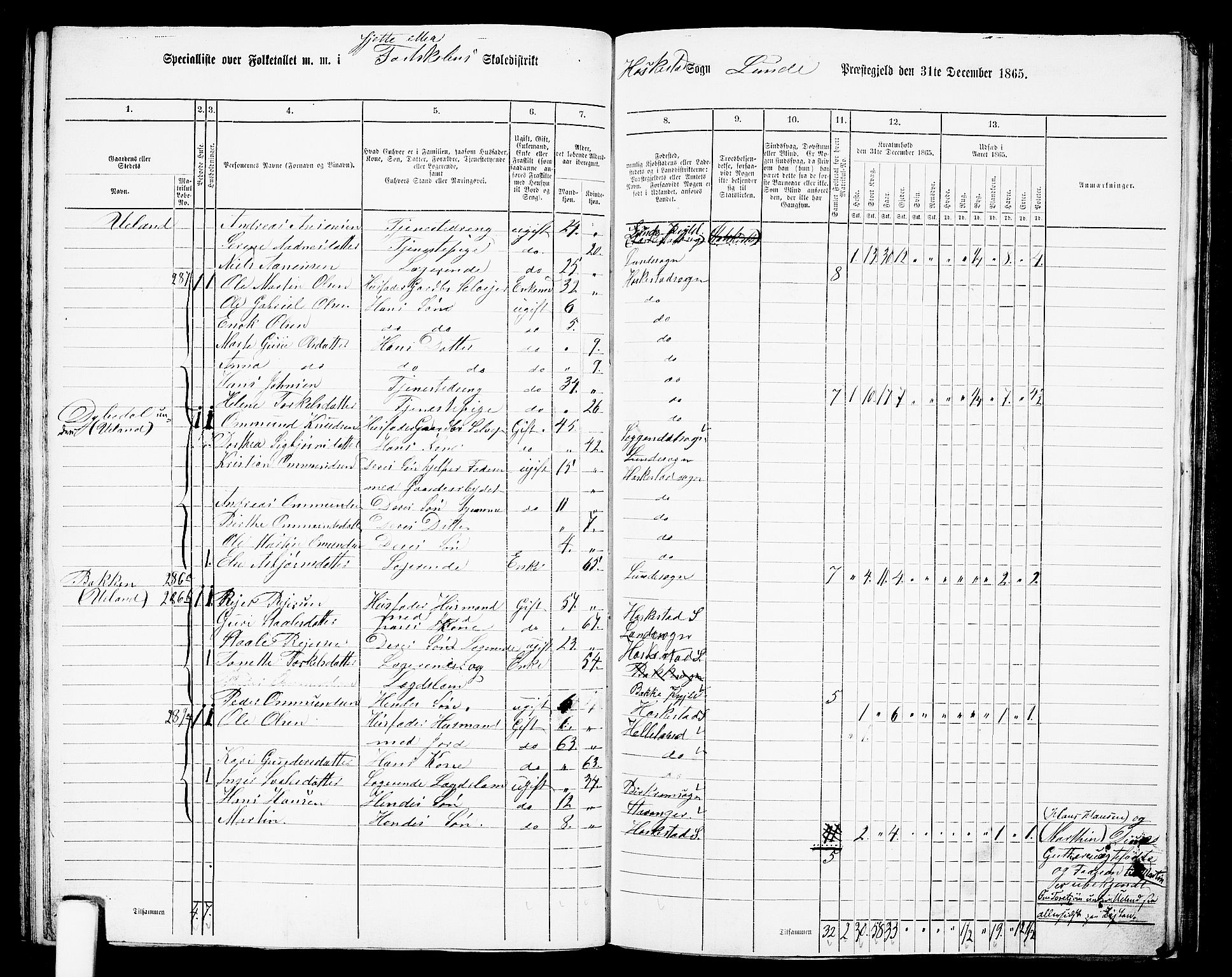 RA, 1865 census for Lund, 1865, p. 77