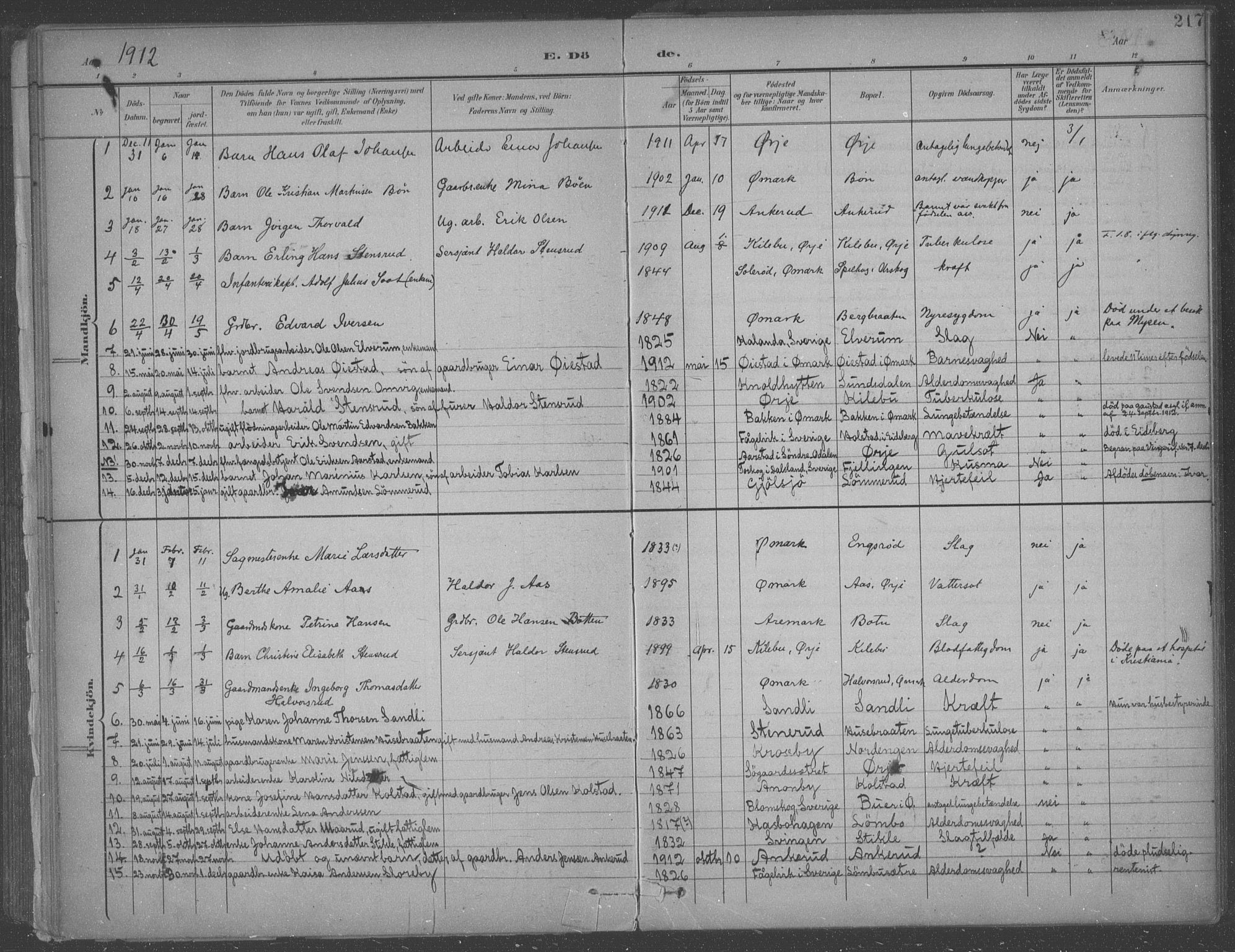 Aremark prestekontor Kirkebøker, SAO/A-10899/F/Fb/L0005: Parish register (official) no. II 5, 1895-1919, p. 217