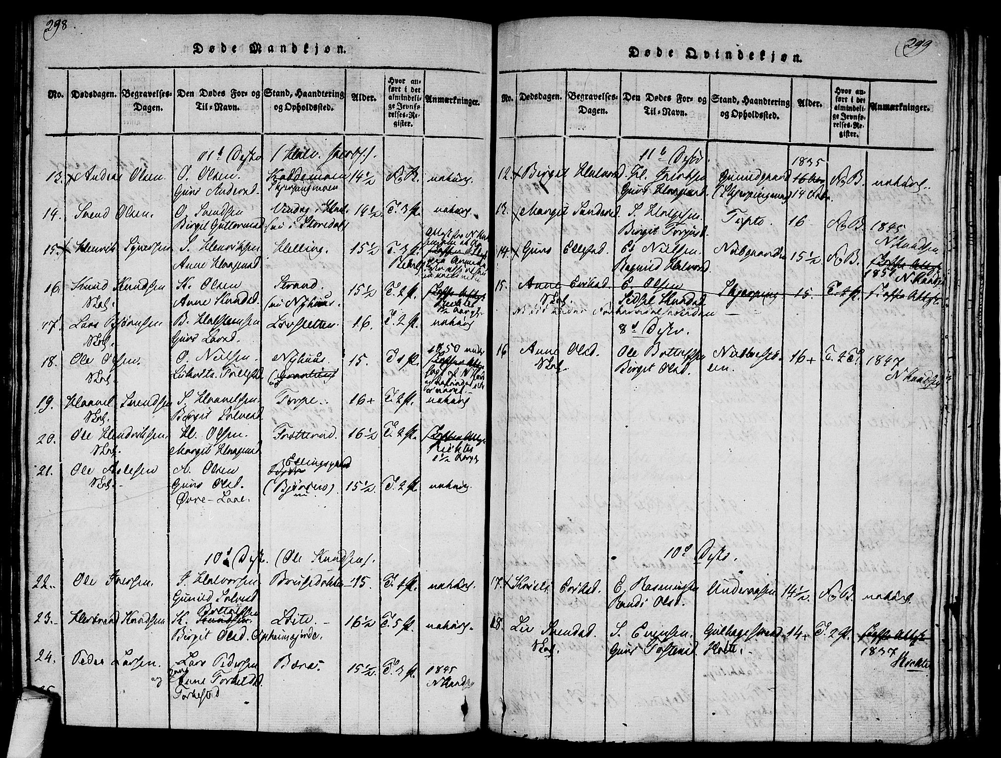 Ål kirkebøker, AV/SAKO-A-249/F/Fa/L0004: Parish register (official) no. I 4, 1815-1825, p. 298-299