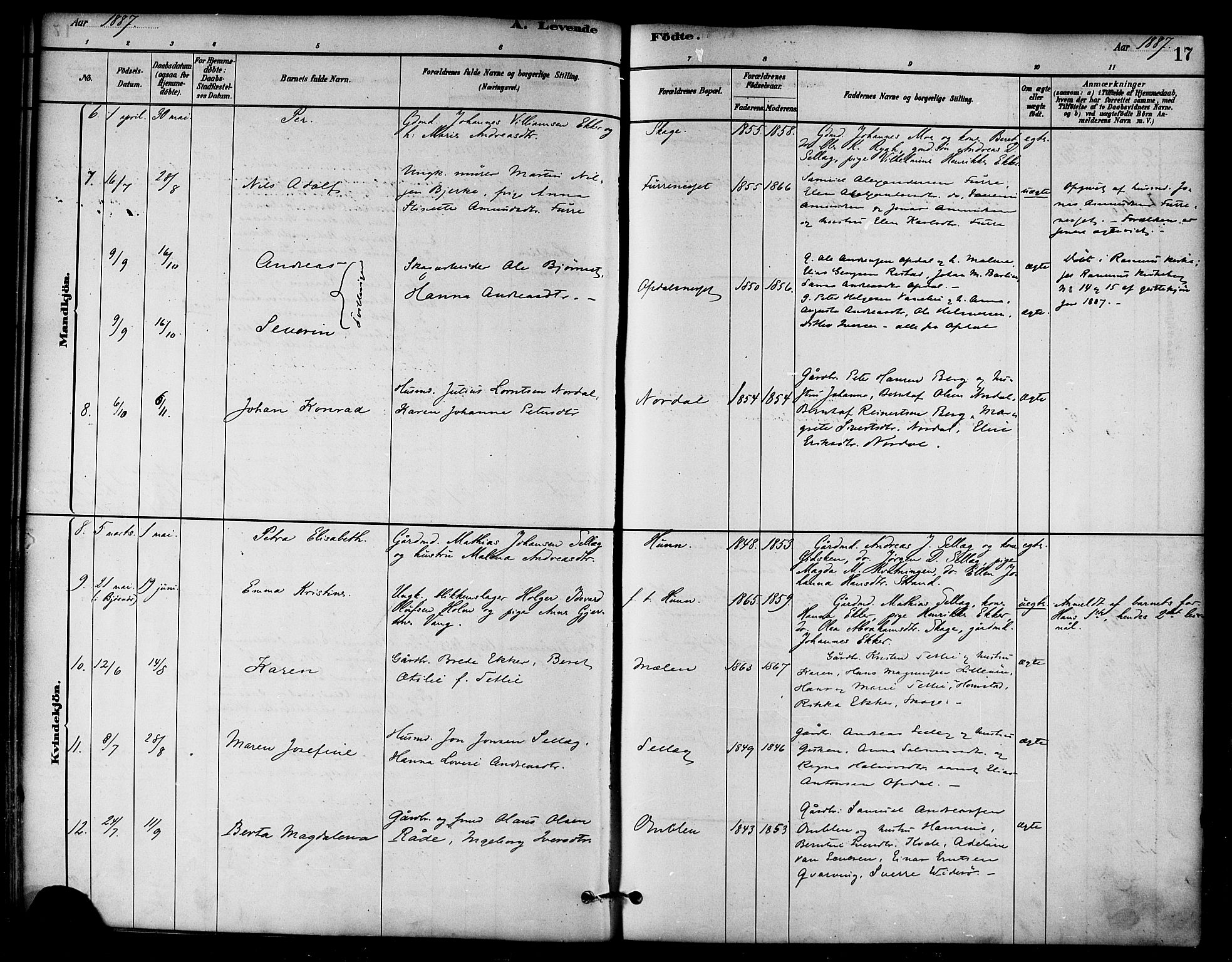 Ministerialprotokoller, klokkerbøker og fødselsregistre - Nord-Trøndelag, AV/SAT-A-1458/766/L0563: Parish register (official) no. 767A01, 1881-1899, p. 17