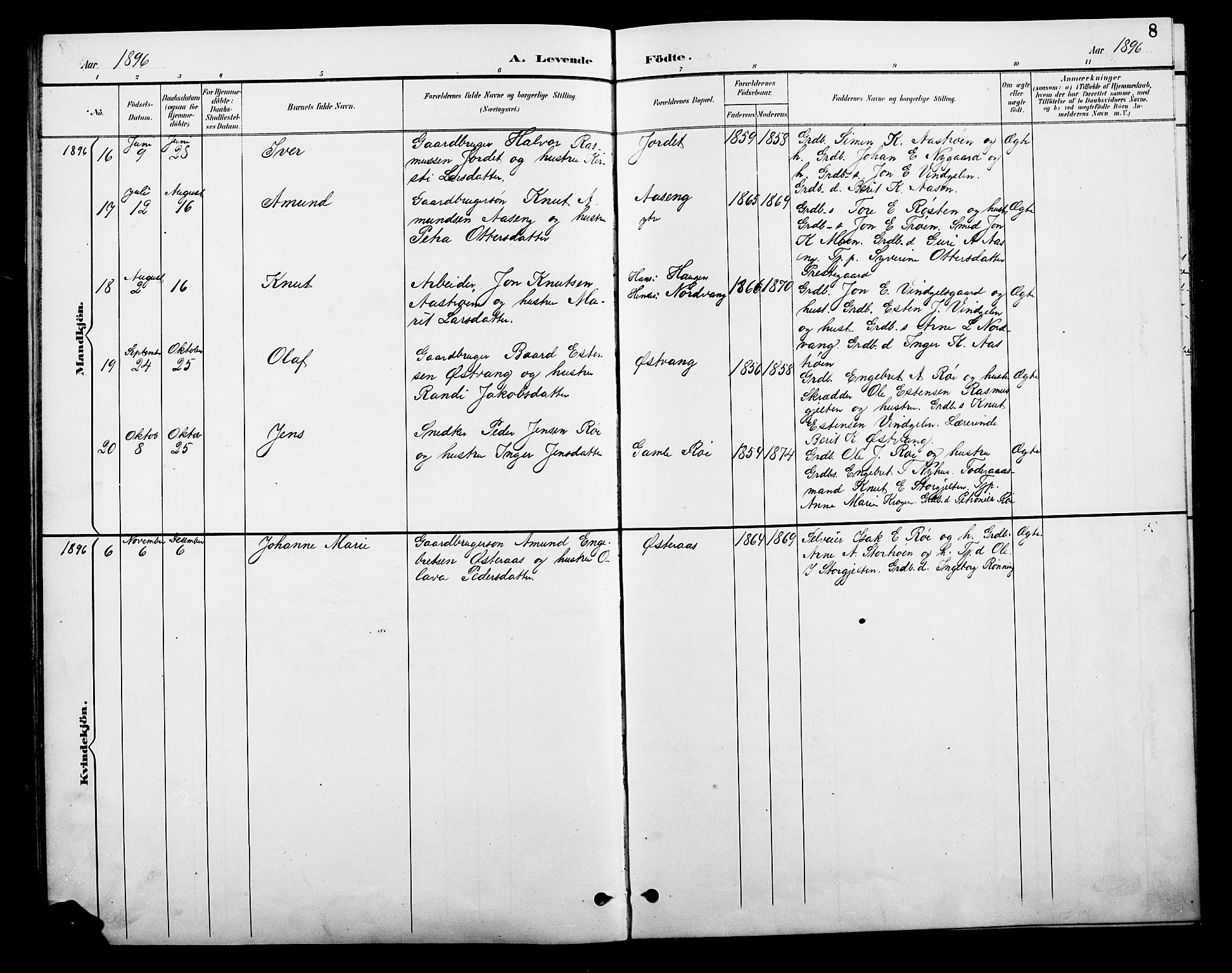 Tolga prestekontor, SAH/PREST-062/L/L0010: Parish register (copy) no. 10, 1894-1918, p. 8