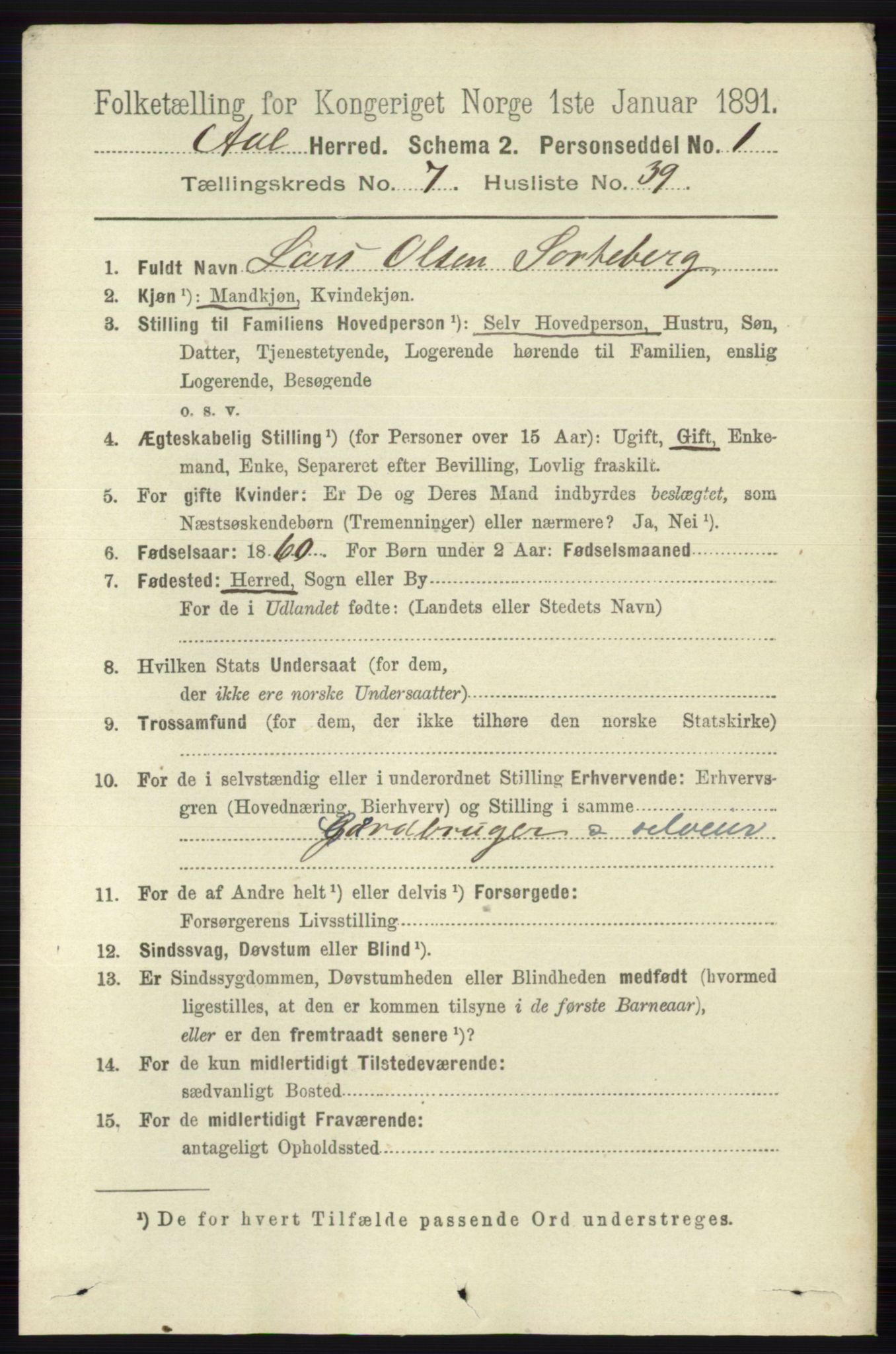 RA, 1891 census for 0619 Ål, 1891, p. 1996