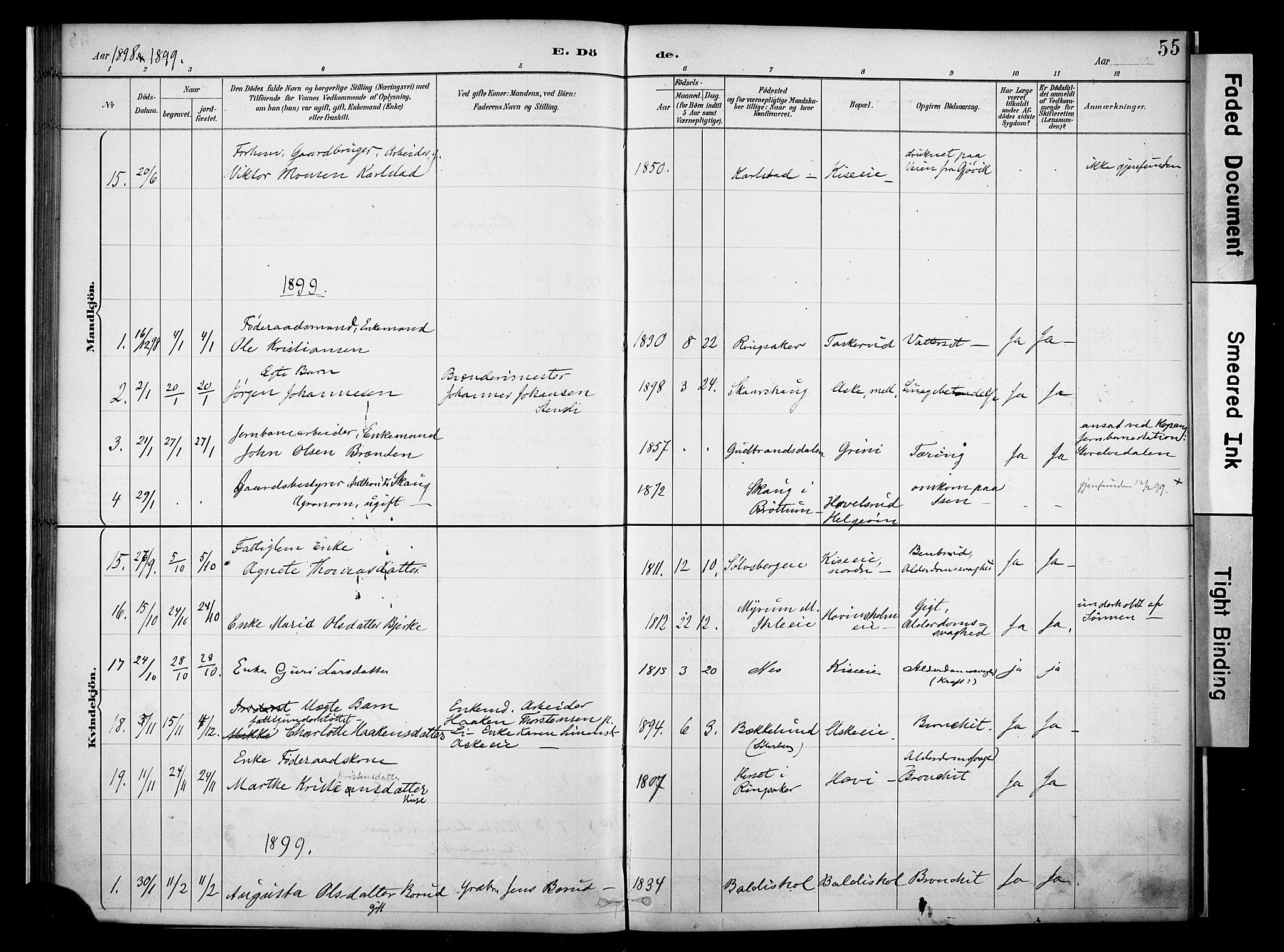 Nes prestekontor, Hedmark, AV/SAH-PREST-020/K/Ka/L0011: Parish register (official) no. 11, 1887-1905, p. 55