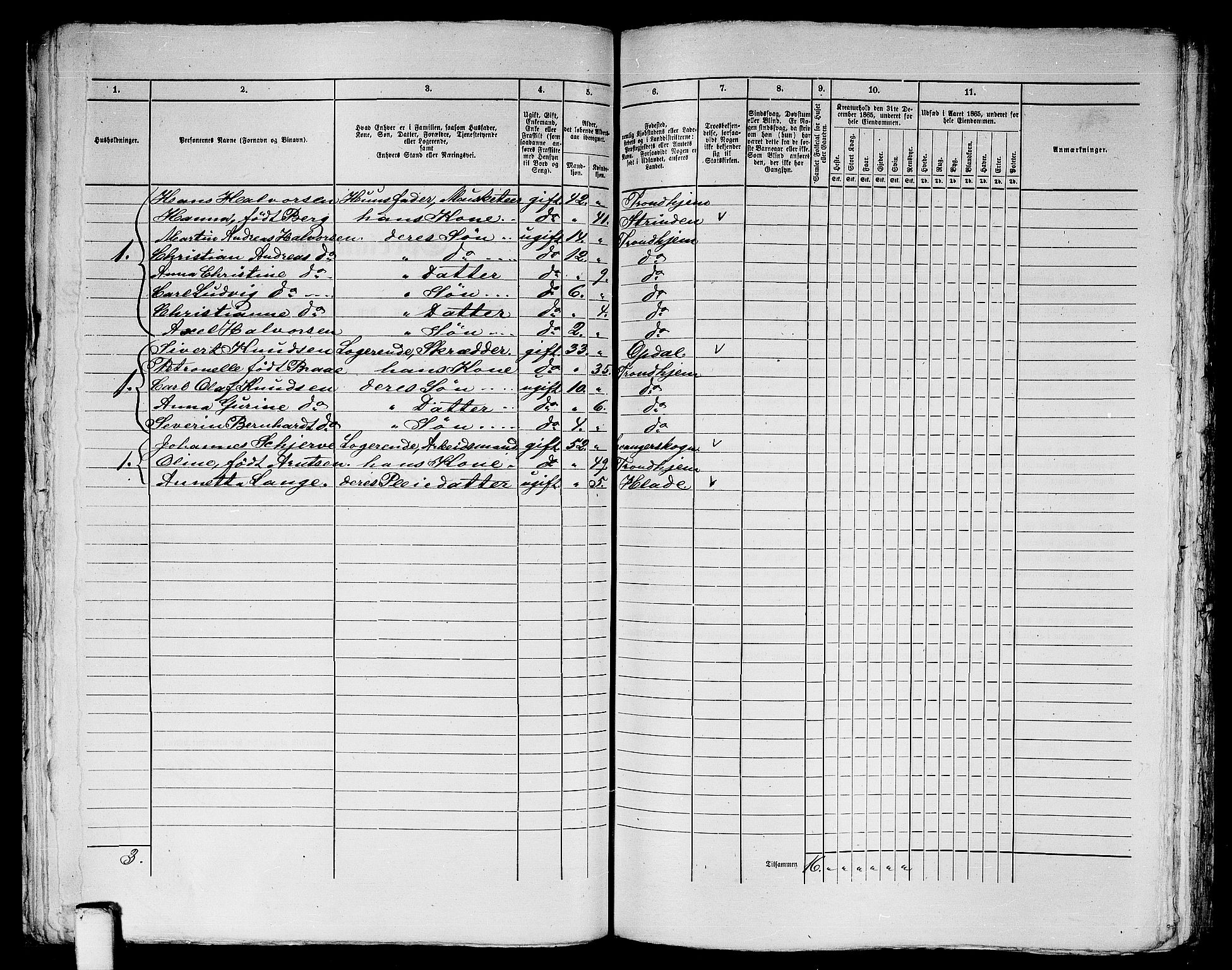 RA, 1865 census for Trondheim, 1865, p. 1261