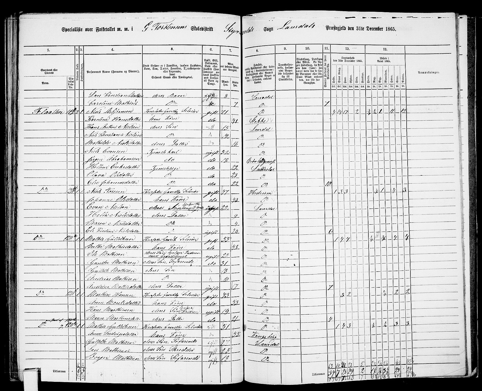 RA, 1865 census for Lardal, 1865, p. 95