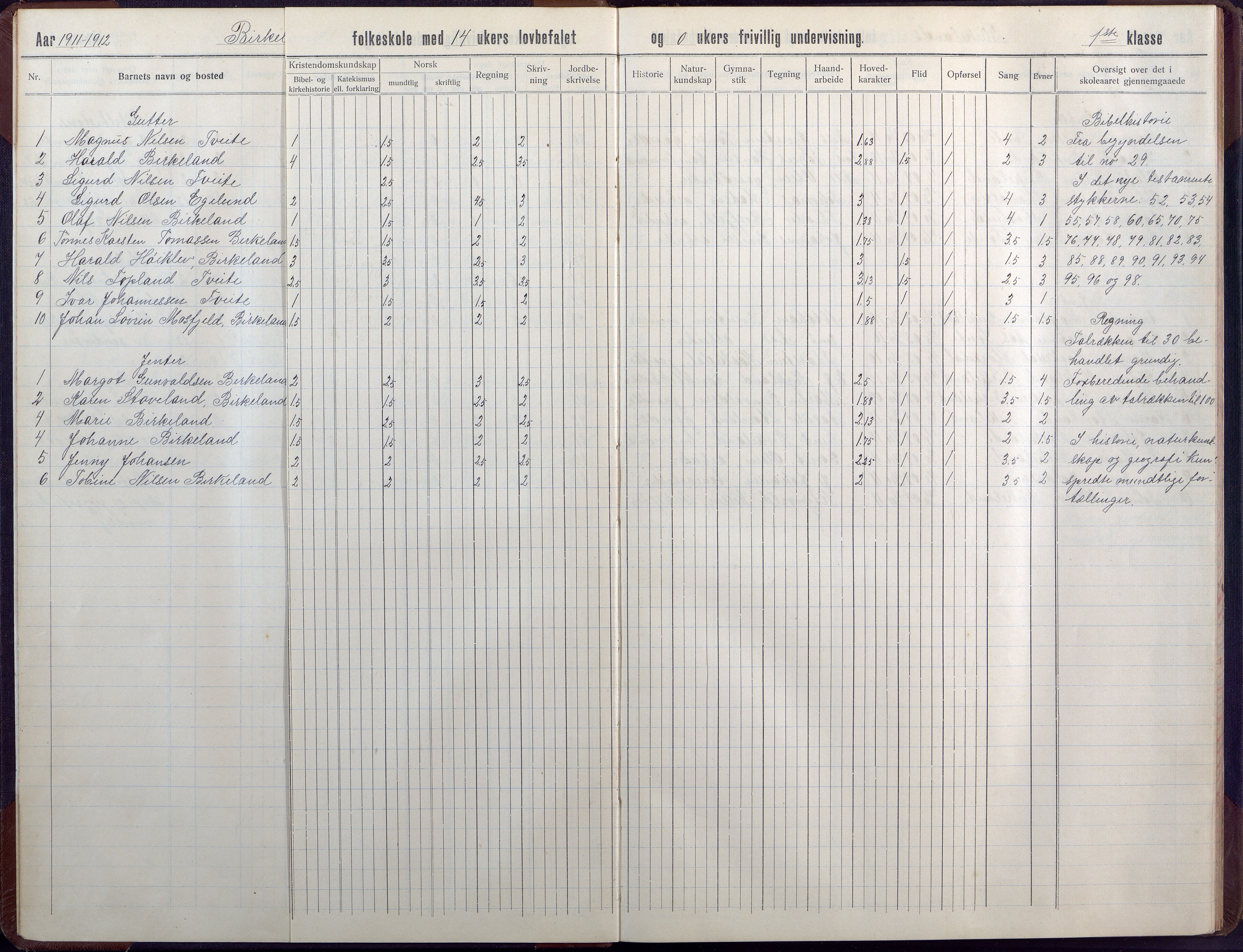 Birkenes kommune, Birkenes krets/Birkeland folkeskole frem til 1991, AAKS/KA0928-550a_91/F02/L0008: Skoleprotokoll, 1911-1930