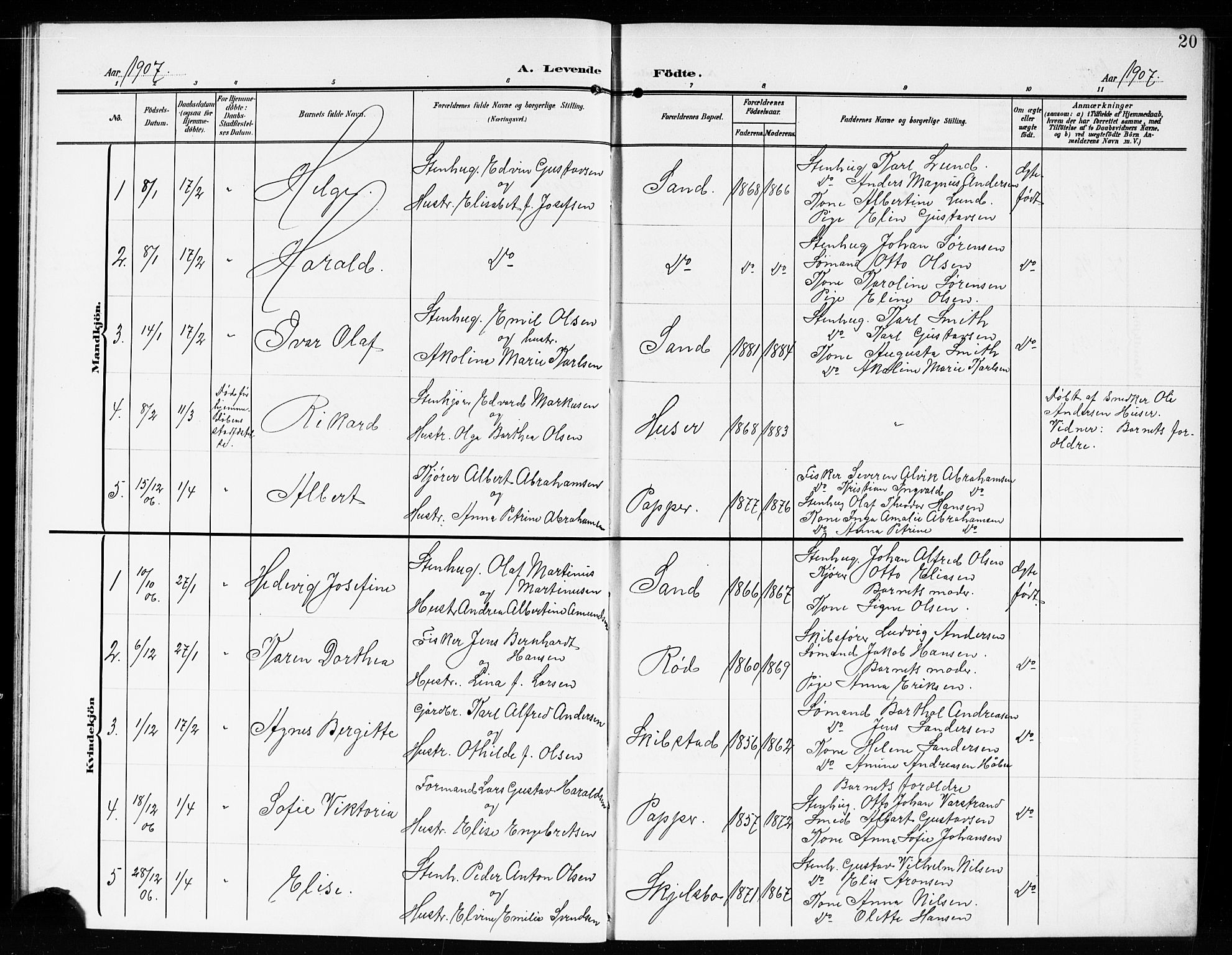 Hvaler prestekontor Kirkebøker, SAO/A-2001/G/Gb/L0003: Parish register (copy) no. II 3, 1904-1917, p. 20