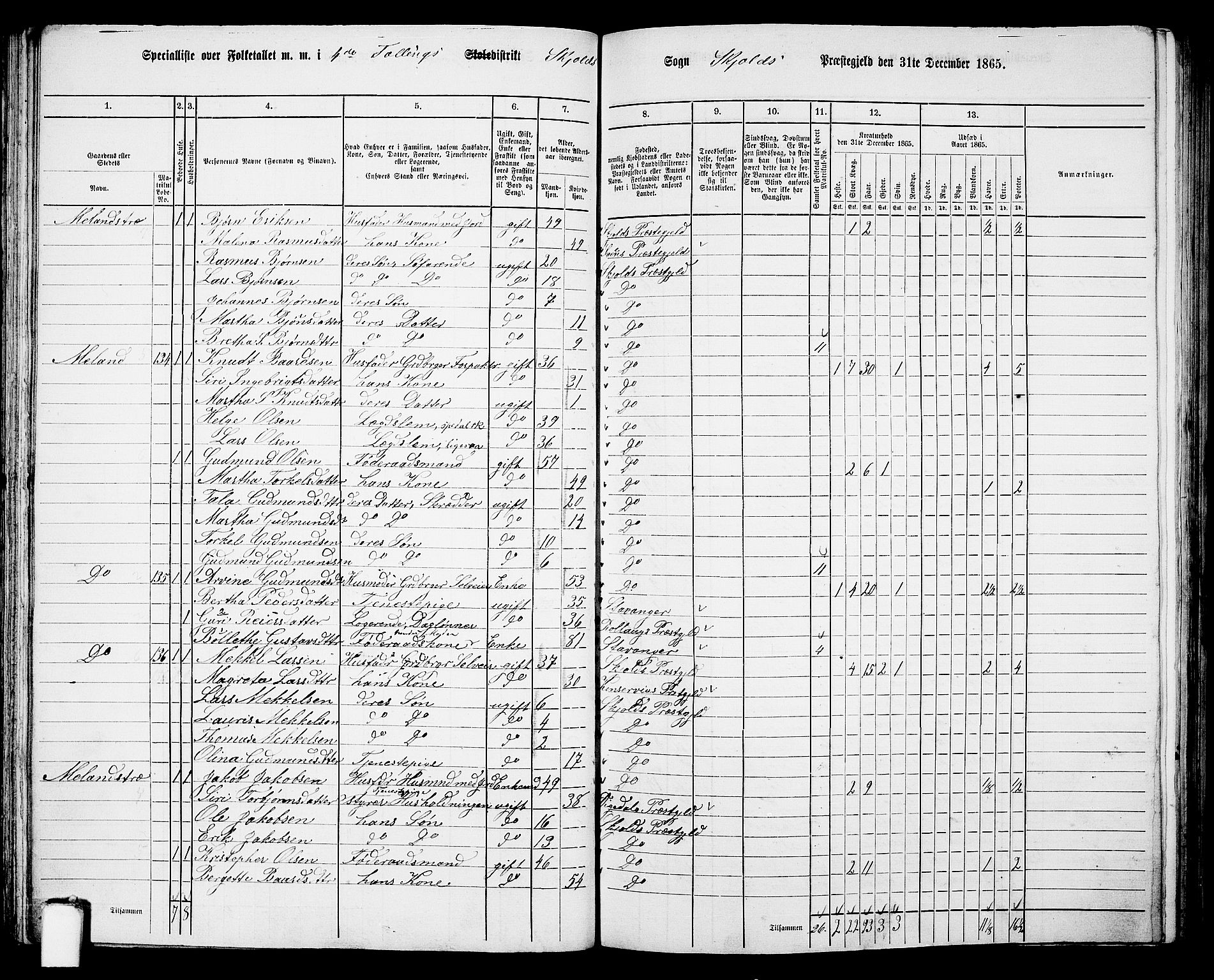 RA, 1865 census for Skjold, 1865, p. 61