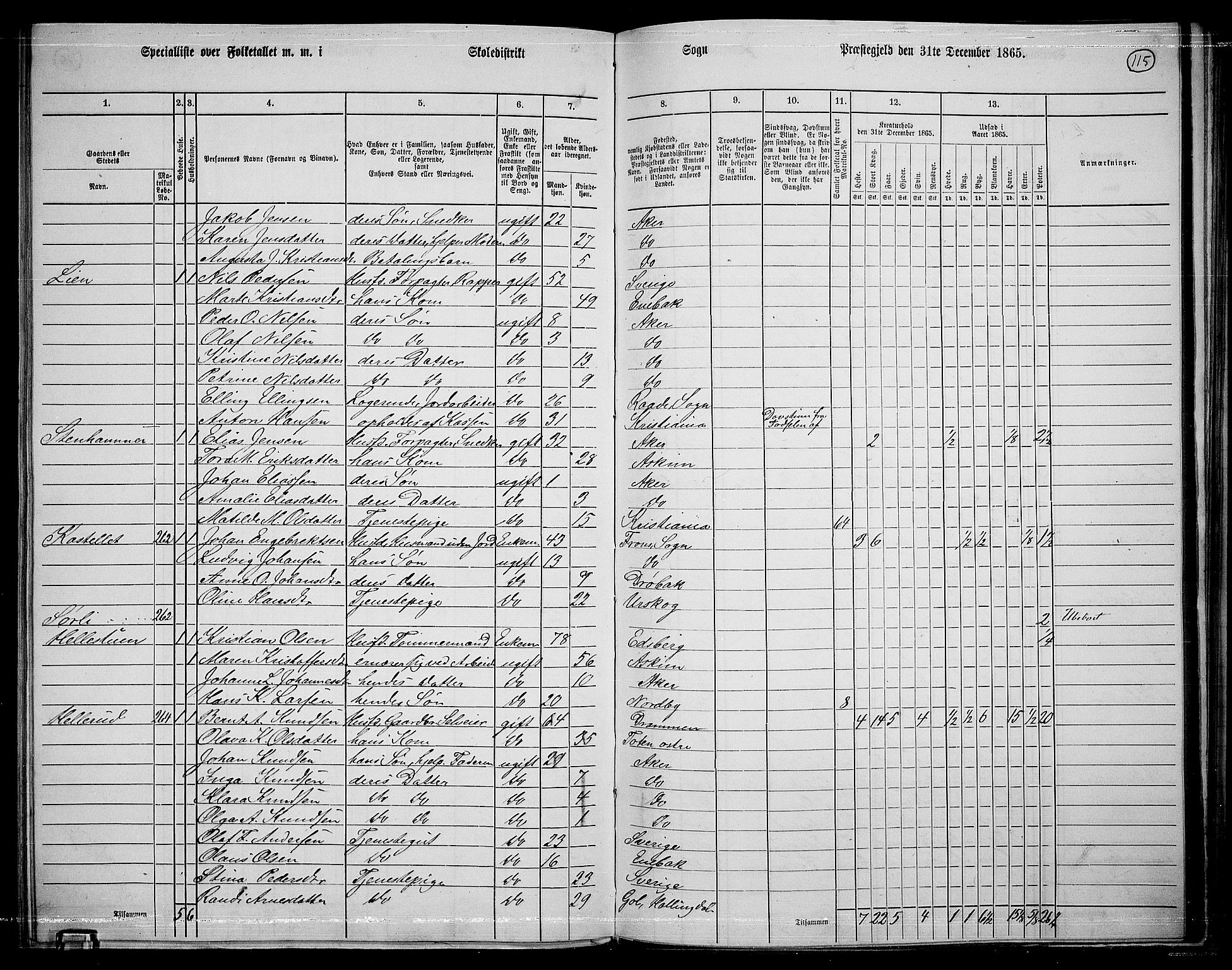 RA, 1865 census for Østre Aker, 1865, p. 339